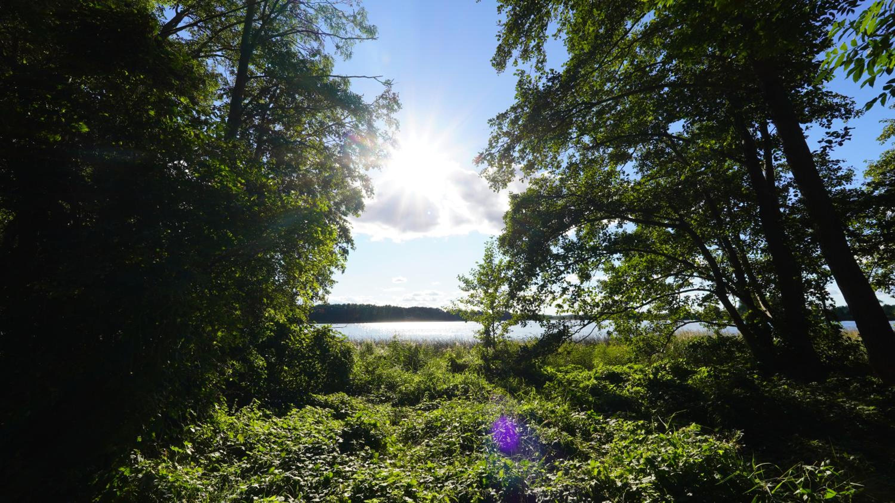 Ferienwohnungen am Krakower See