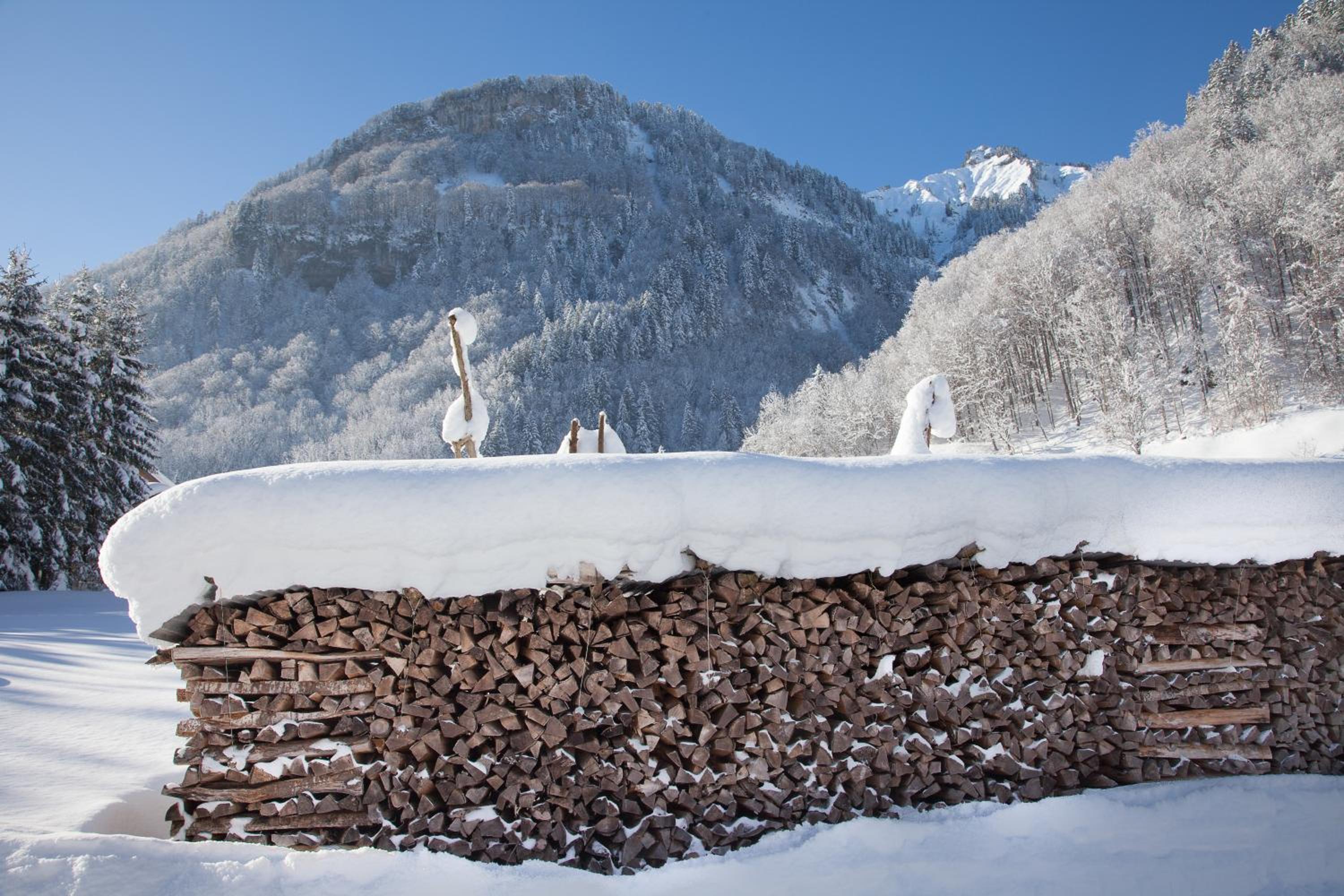 Alps Hoamat Ferienchalet
