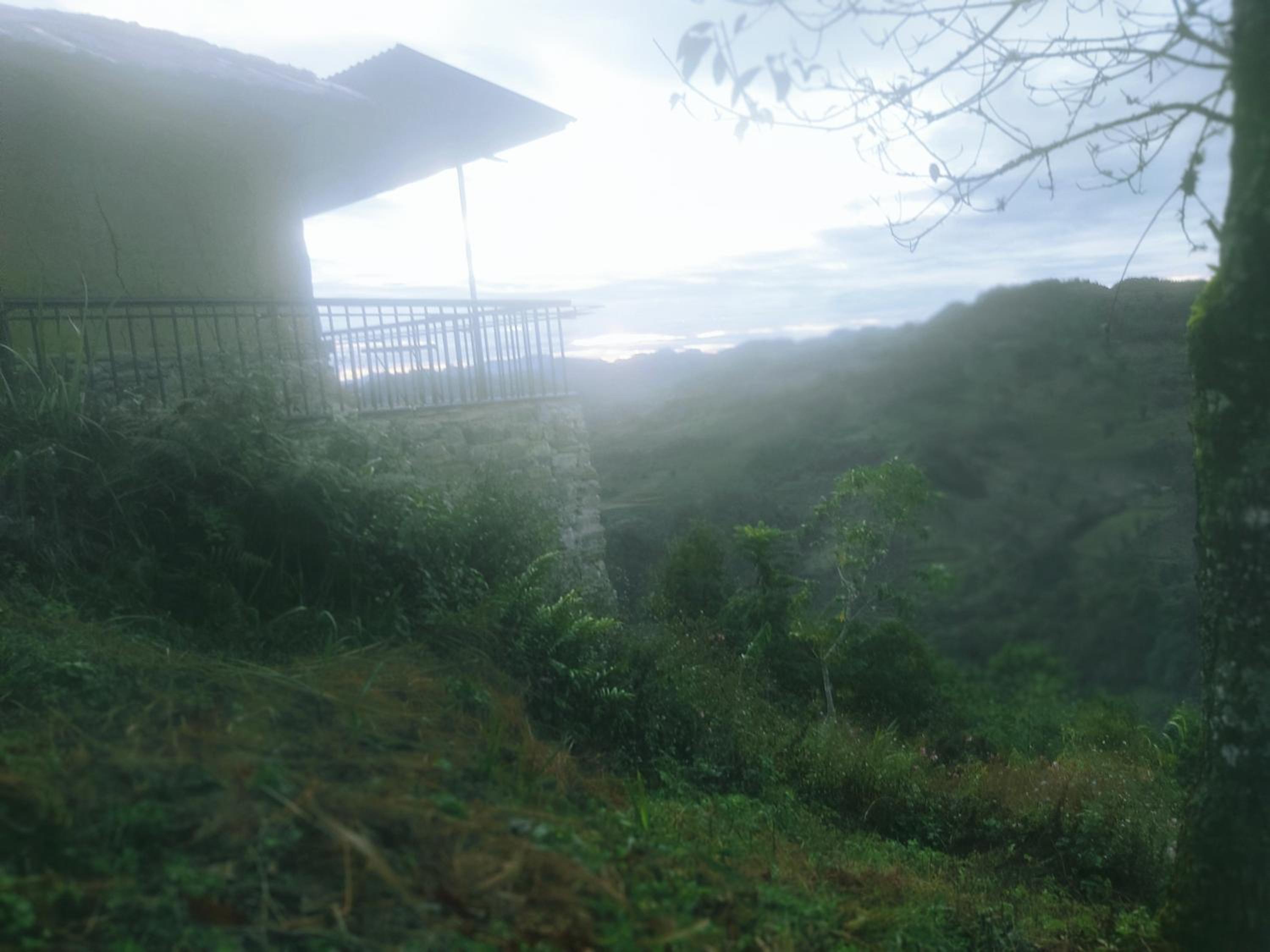 Tả Van Chư homestay
