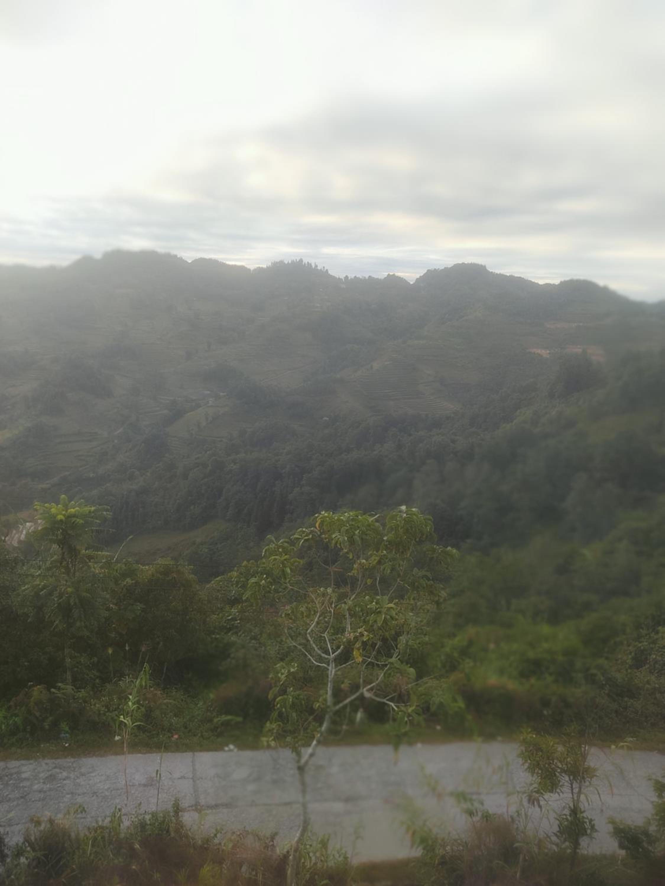 Tả Van Chư homestay
