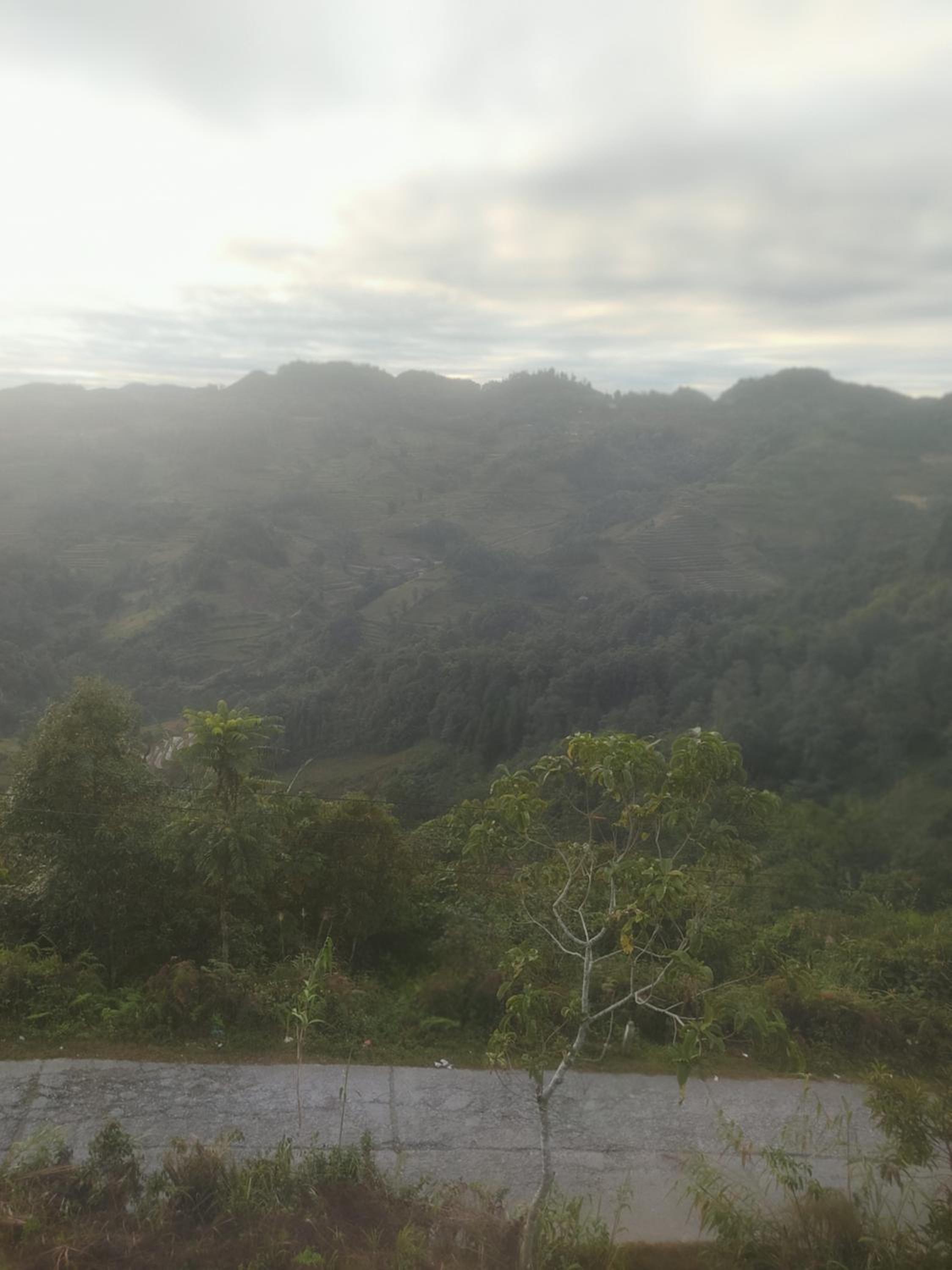 Tả Van Chư homestay