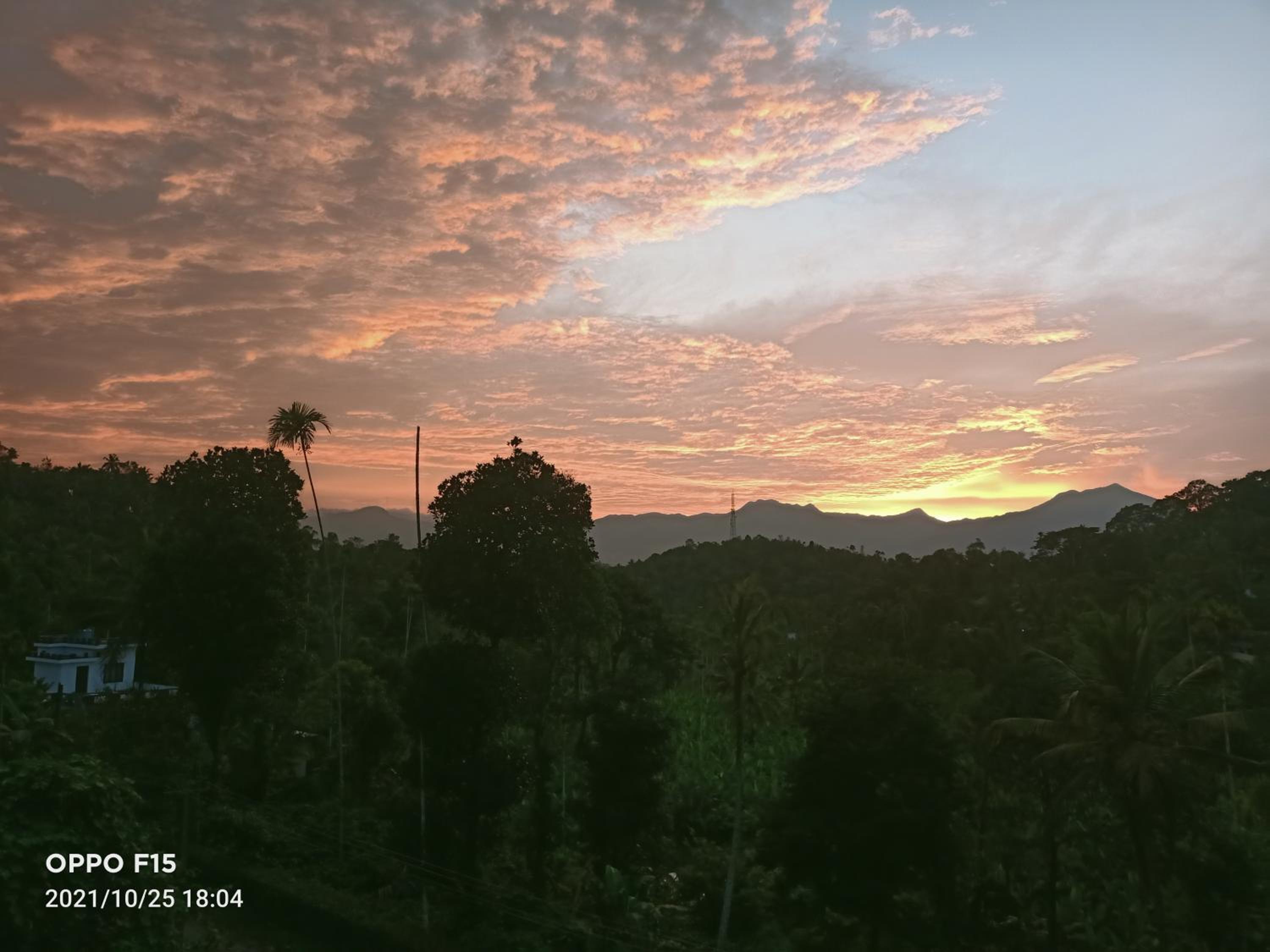 Divine View Holyday Home (Homestay)