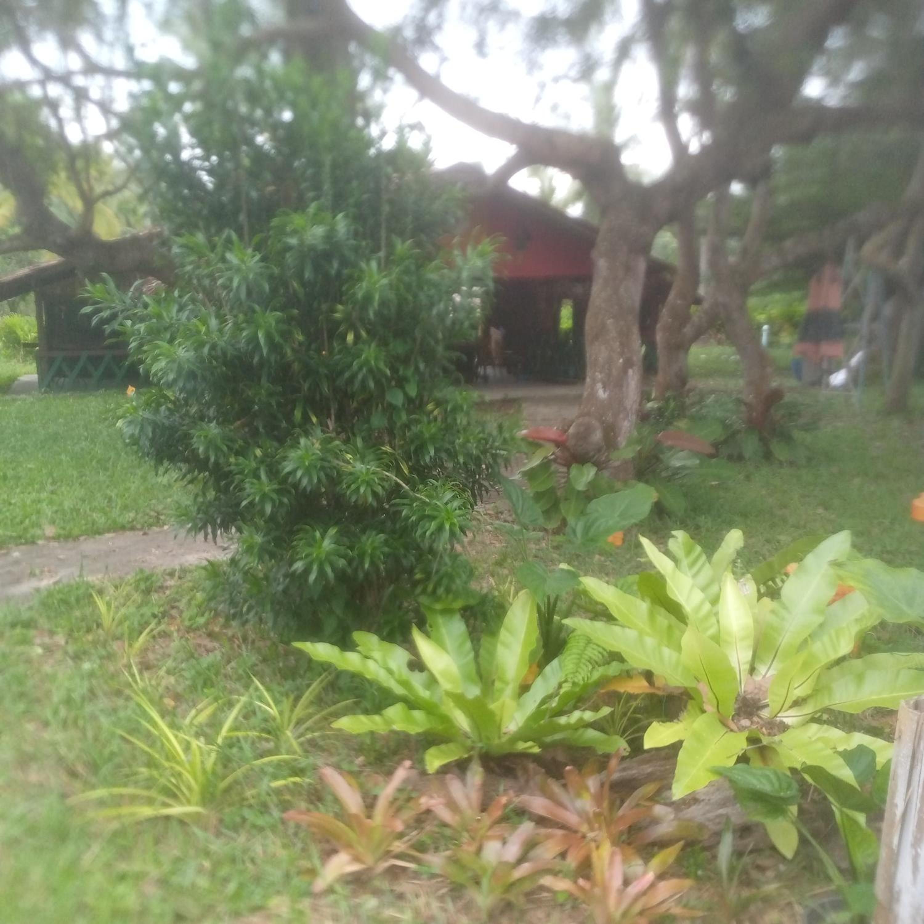 Photo 35