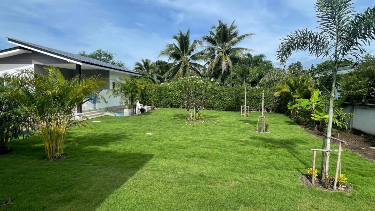 Happy House view 3