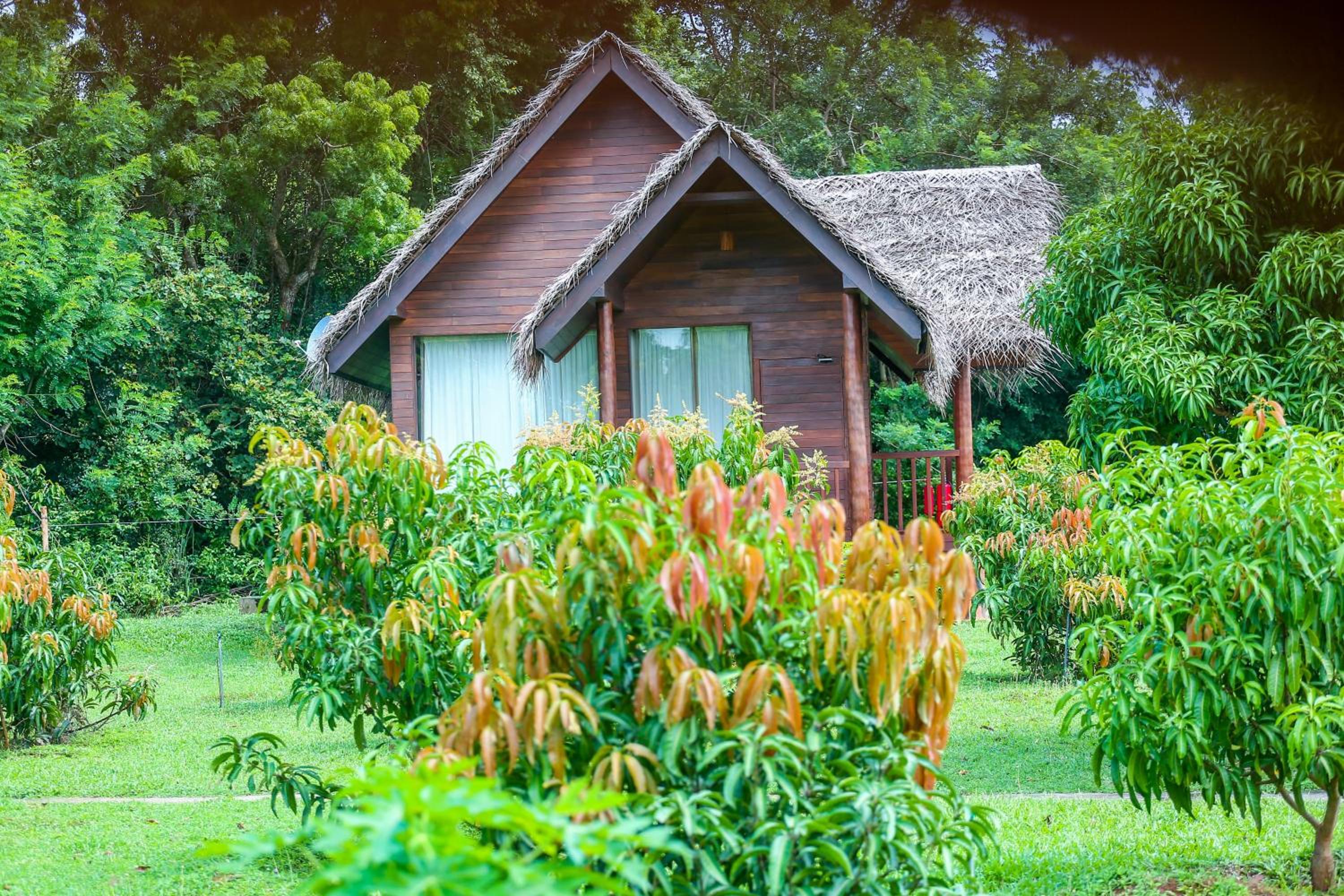 Sigiriya Water Cottage
