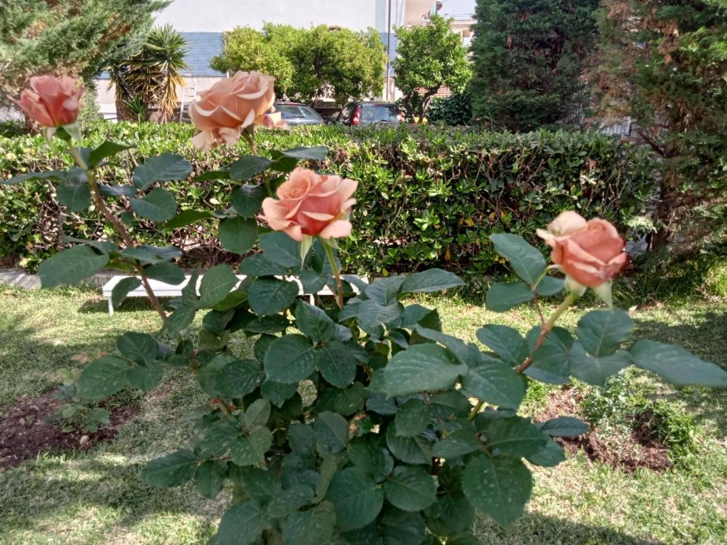 Villa Silvia b&b view 2