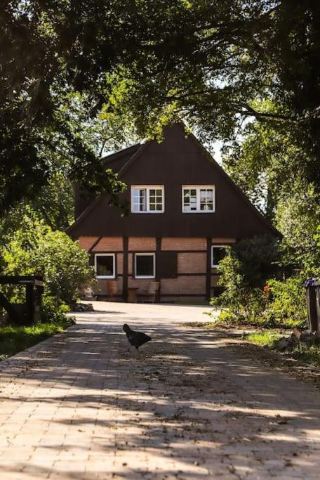 Tiny House Kotten Kunterbunt