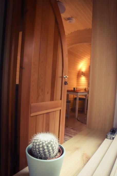 Tiny House Kotten Kunterbunt