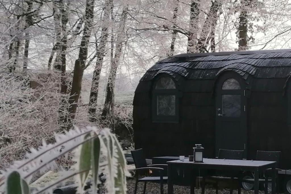 Tiny House Kotten Kunterbunt