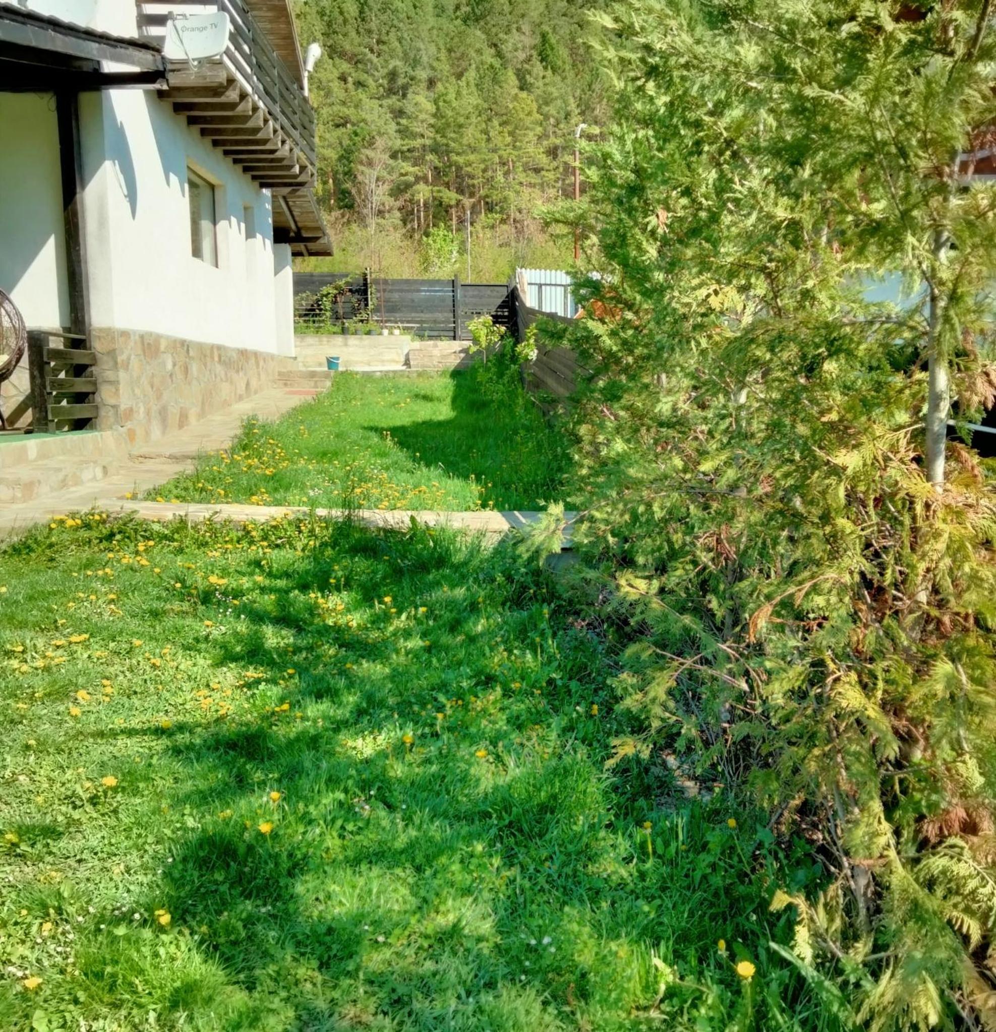 Photo 48
