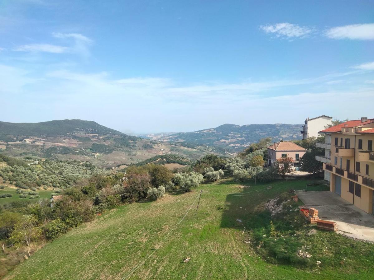 Panorama