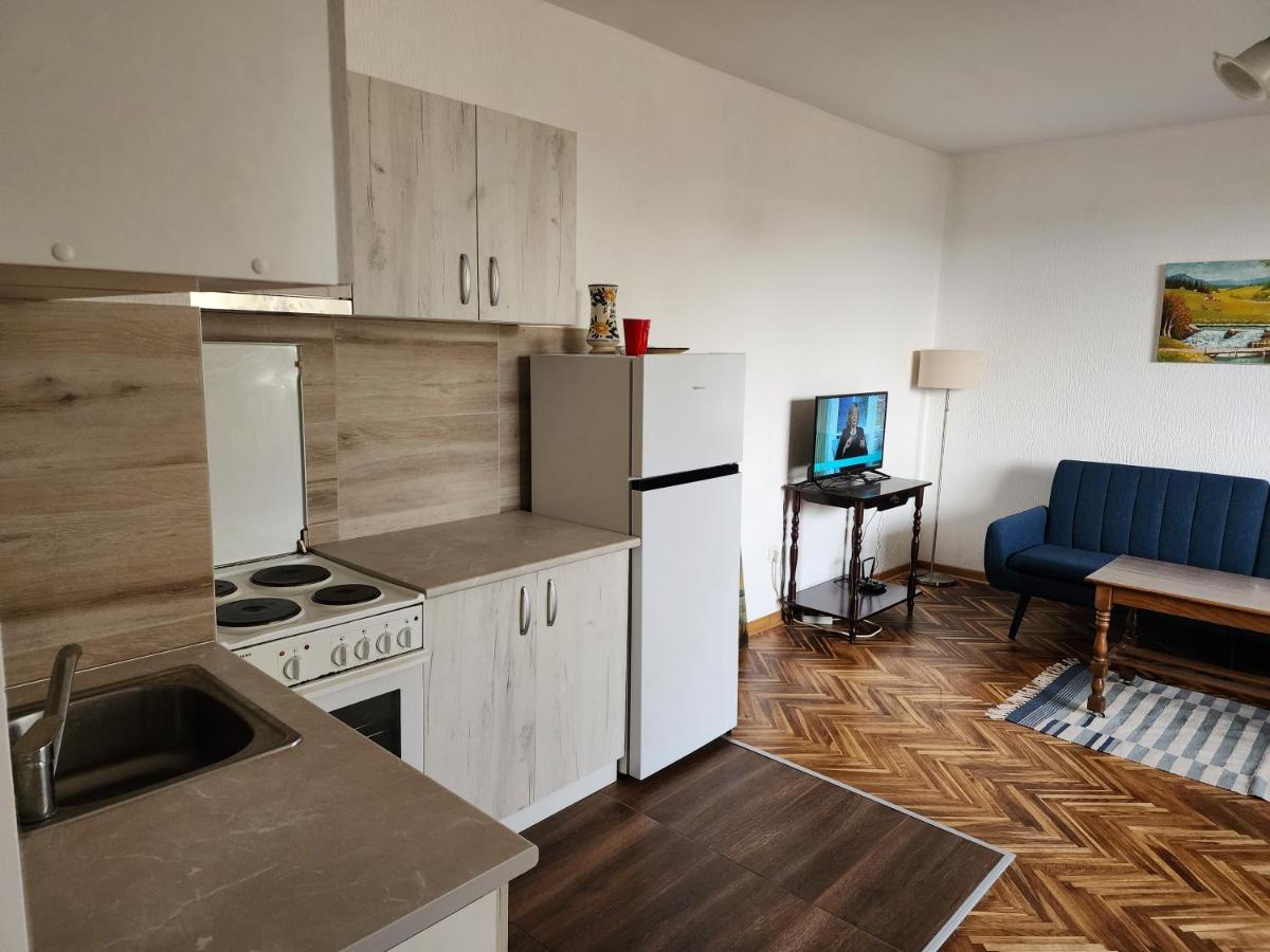 1 Bedroom Apartment - Vozdovac, Belgrade view 4