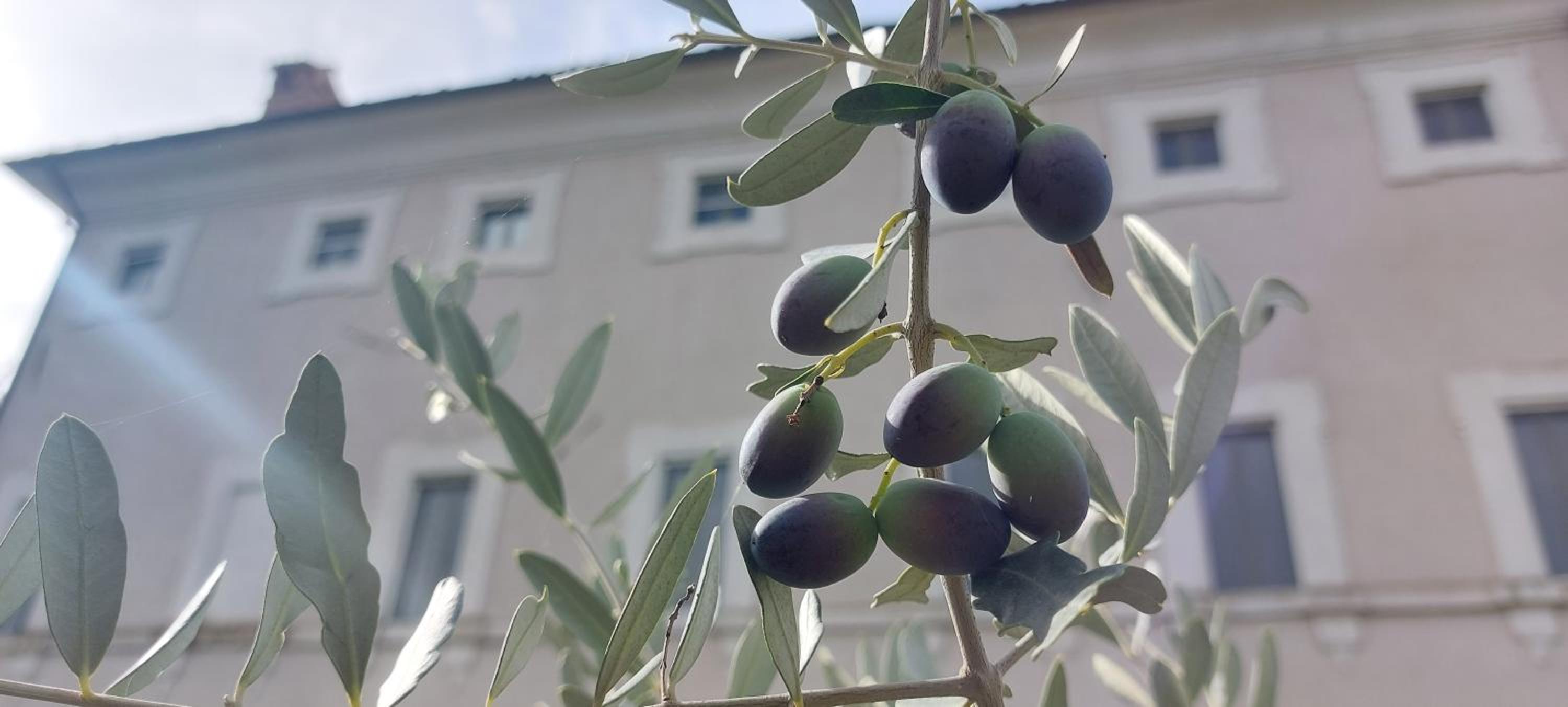 La Casa sul Colle photo 3