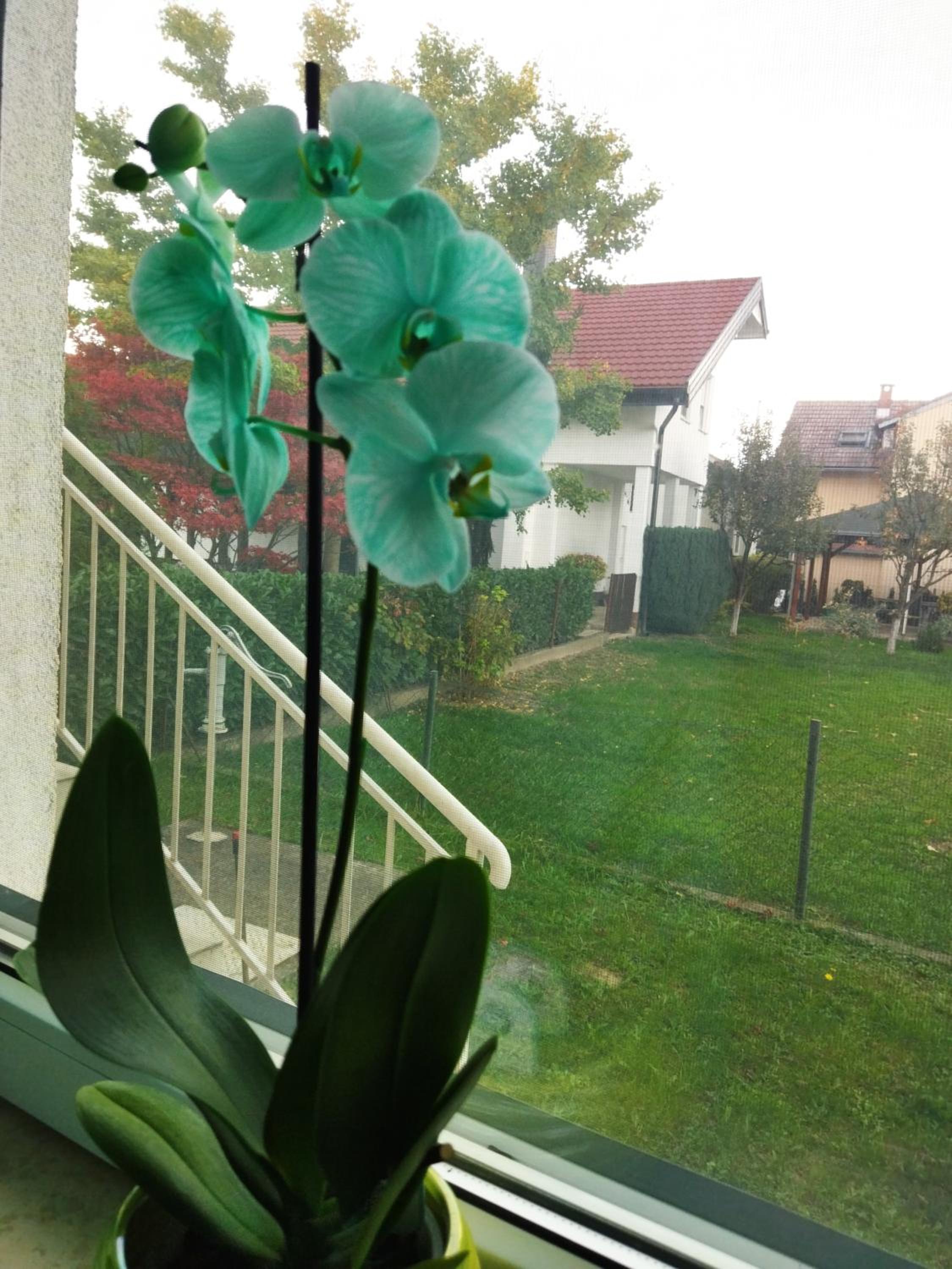 Apartman na jezeru view 4