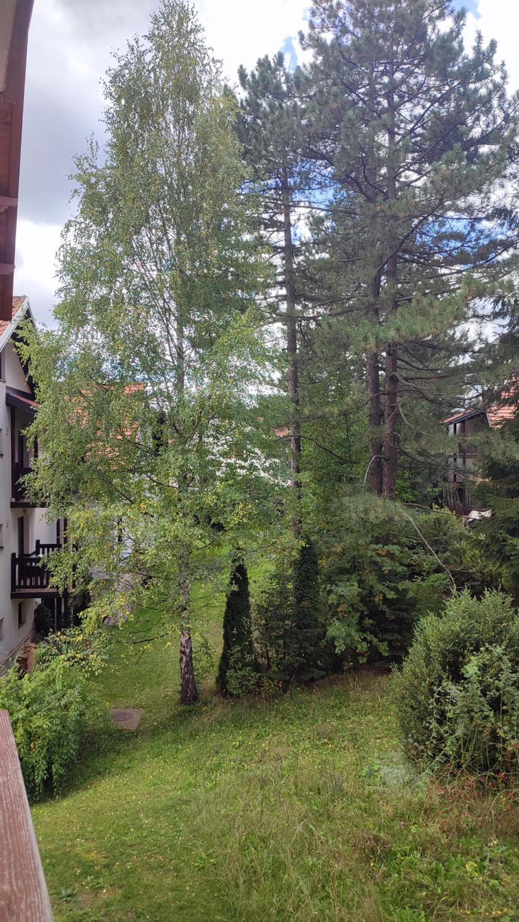 Apartman Jeca Zlatibor view 5