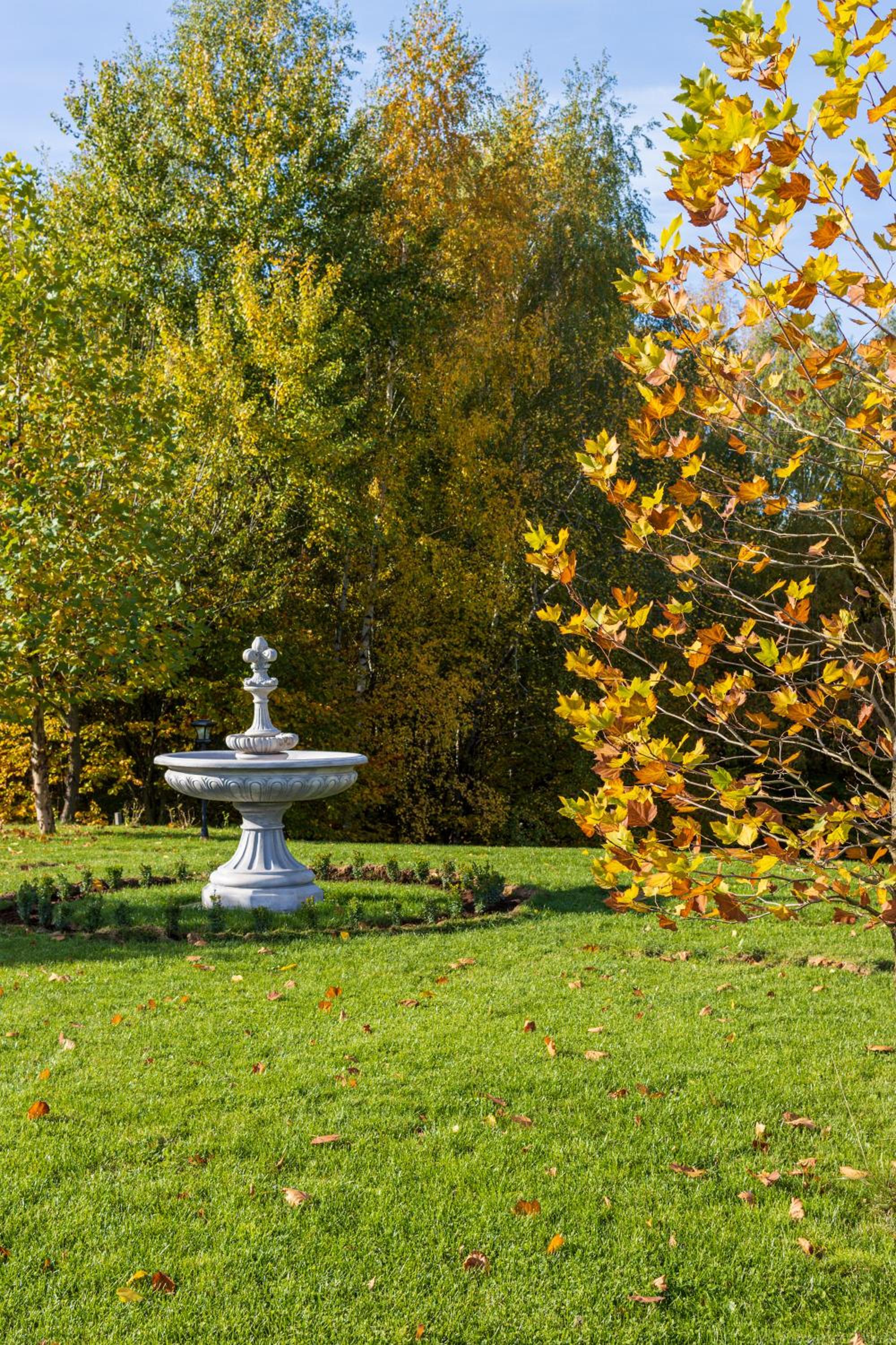 Photo 42