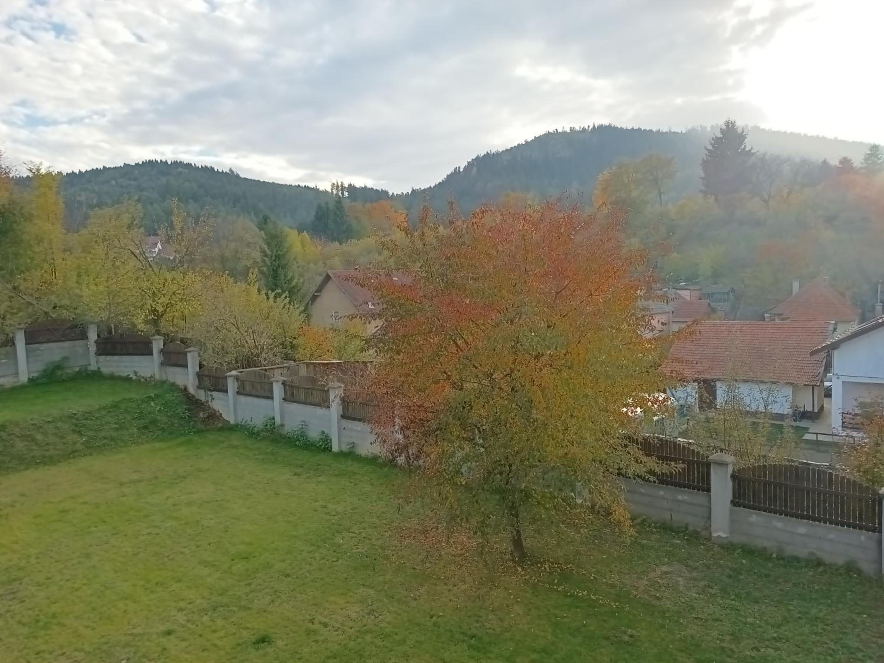 Photo 33