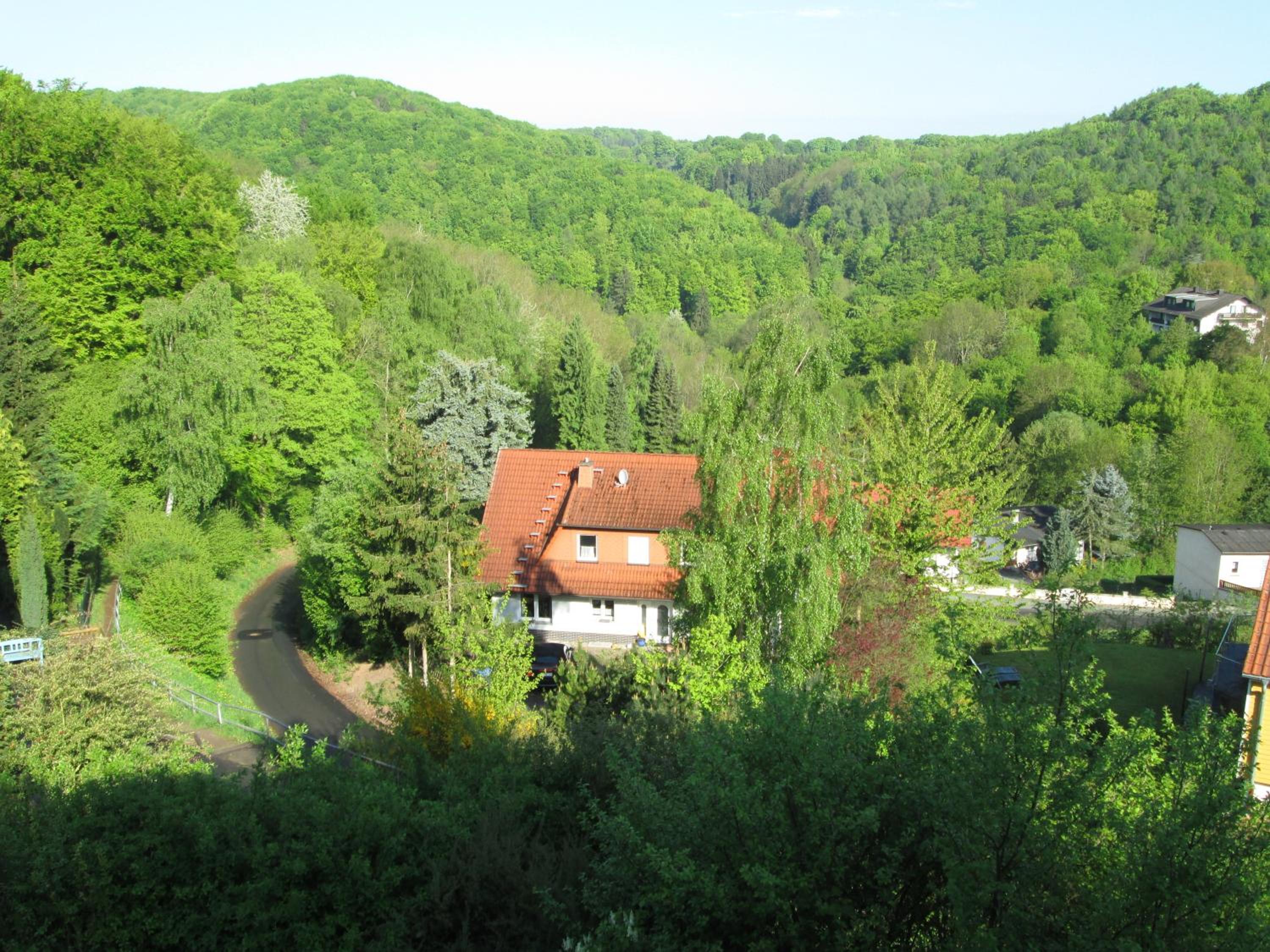 Photo 22