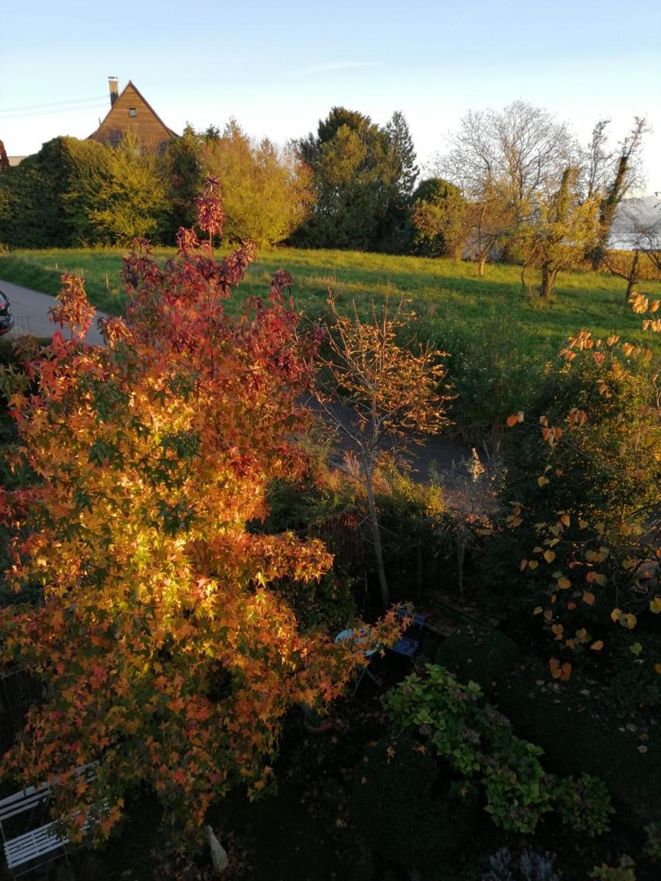 Haus Meersburg Garten