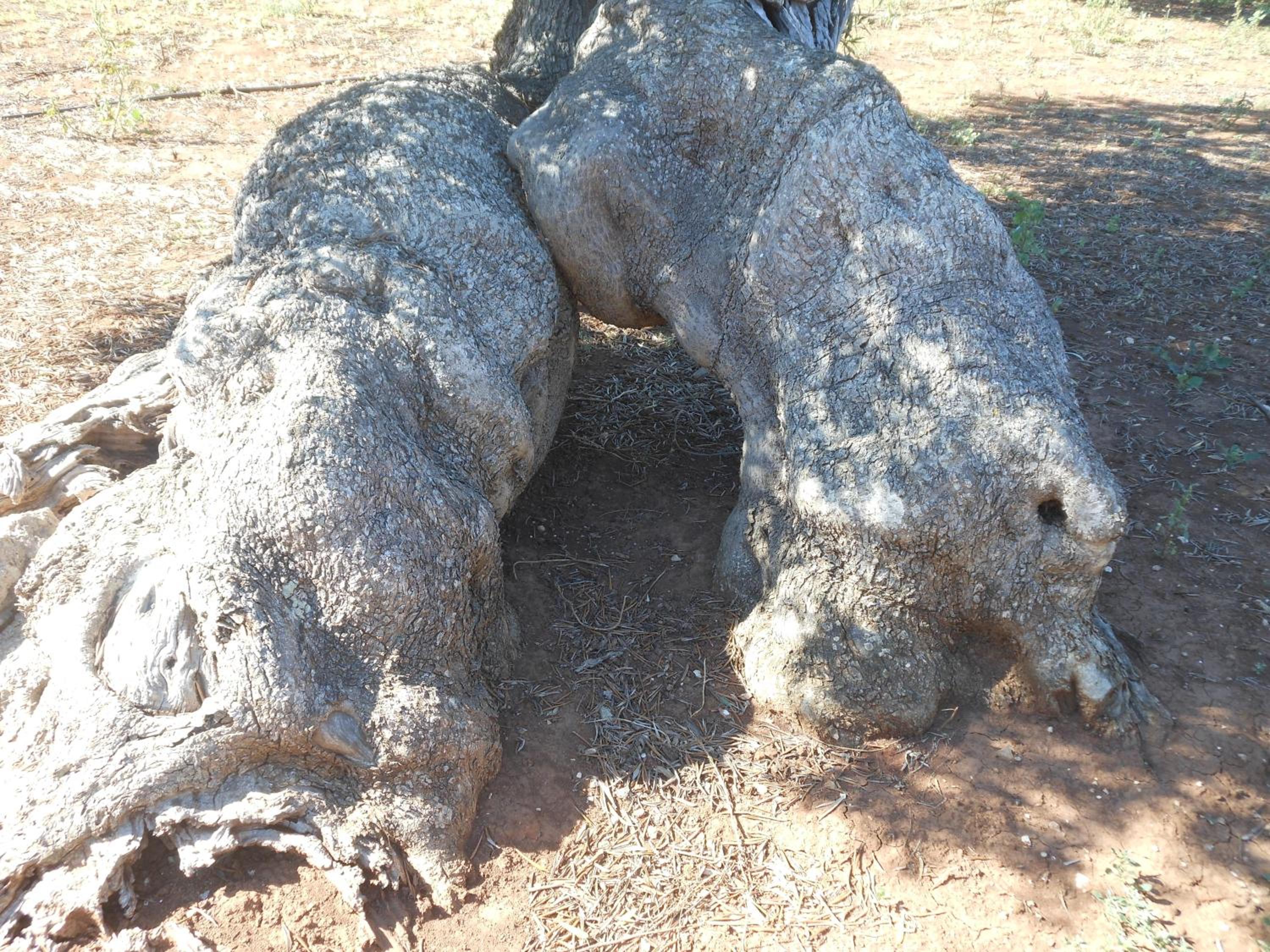Photo 49
