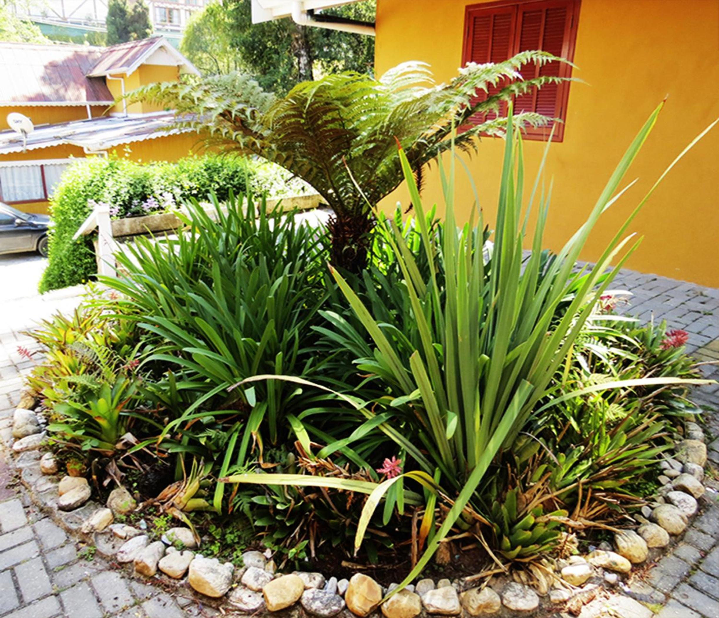 Photo 21