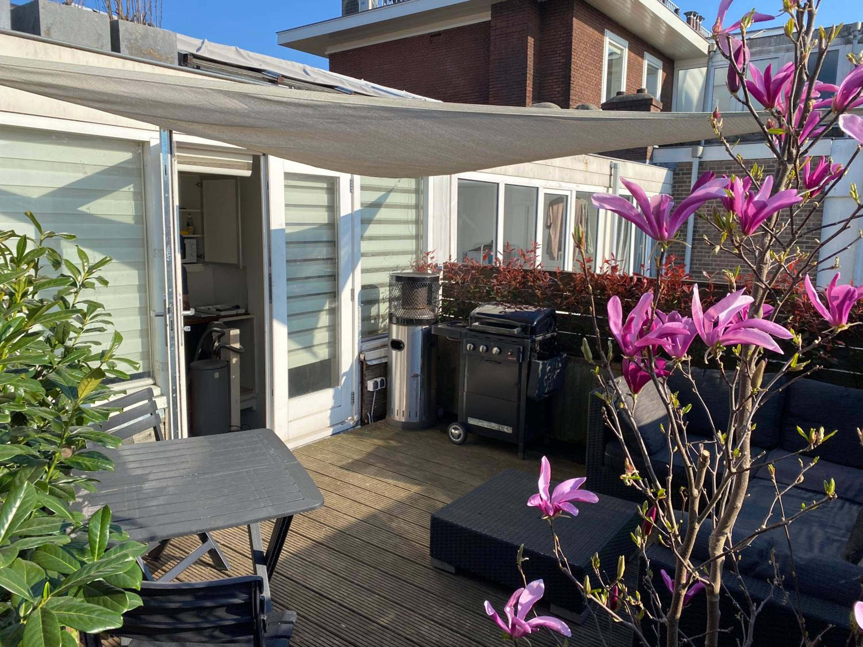 Rooftop Terrace Apartment