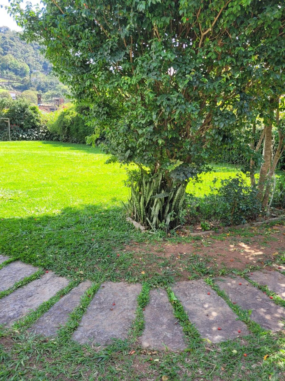 Chalé Casa de Esther