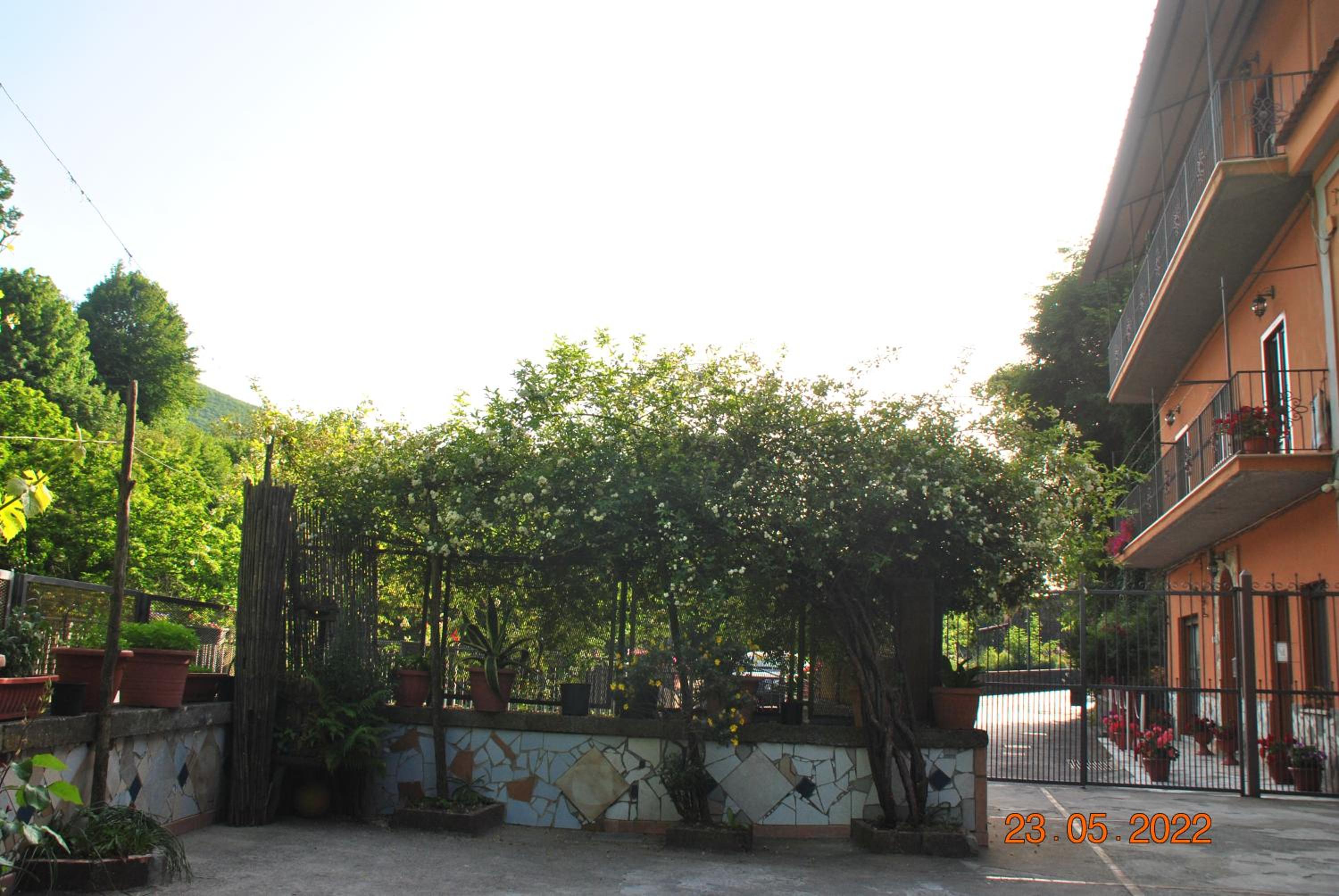 Photo 15