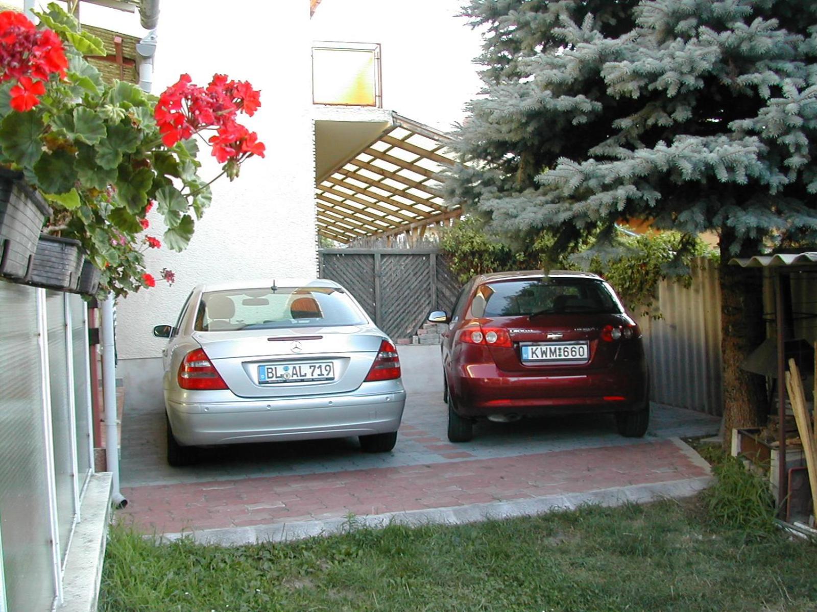 Photo 100