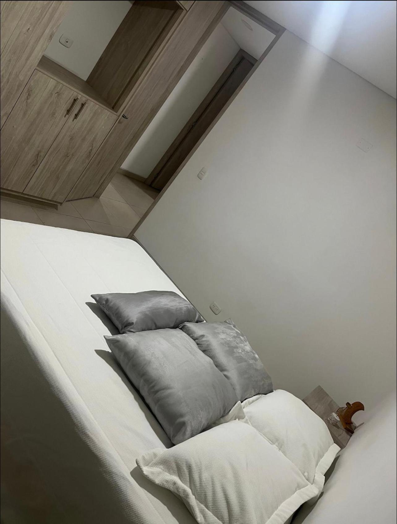 Moderno Penthouse cartago centro vista al rio