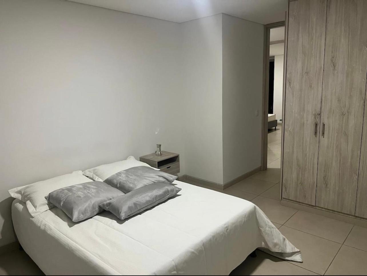 Moderno Penthouse cartago centro vista al rio
