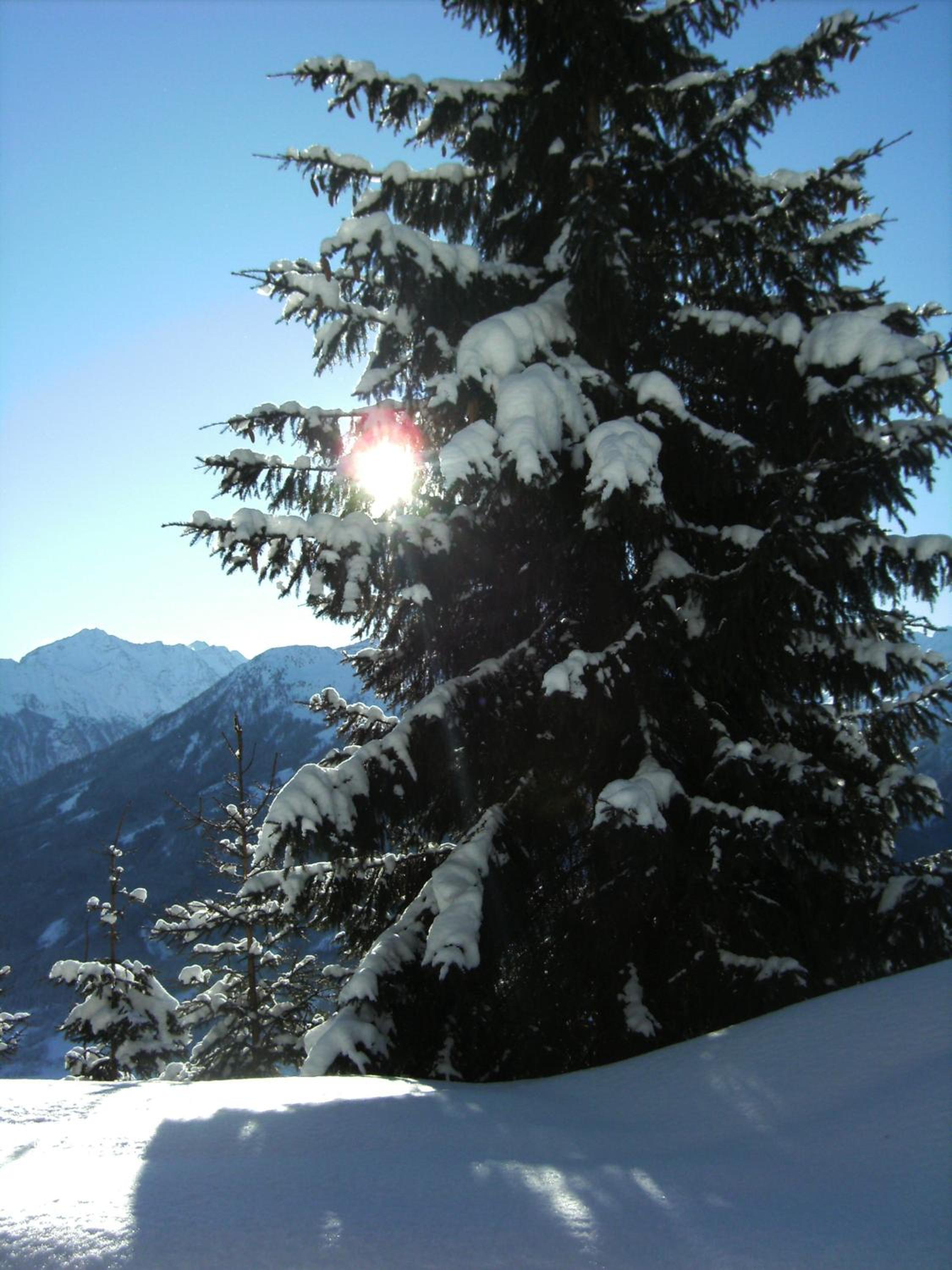 Apartment Hohe Tauern