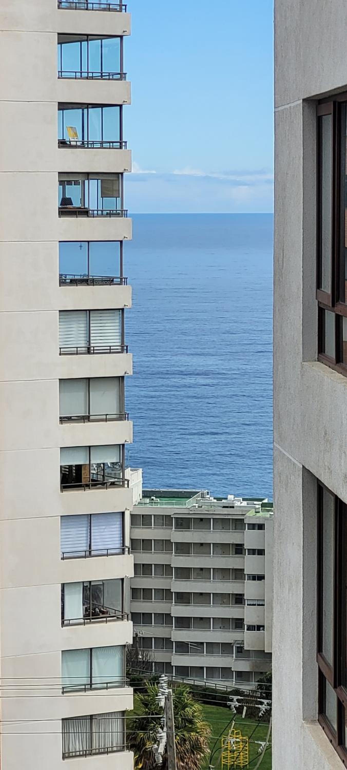 Edmundo Eluchans plaza 2066 Reñaca