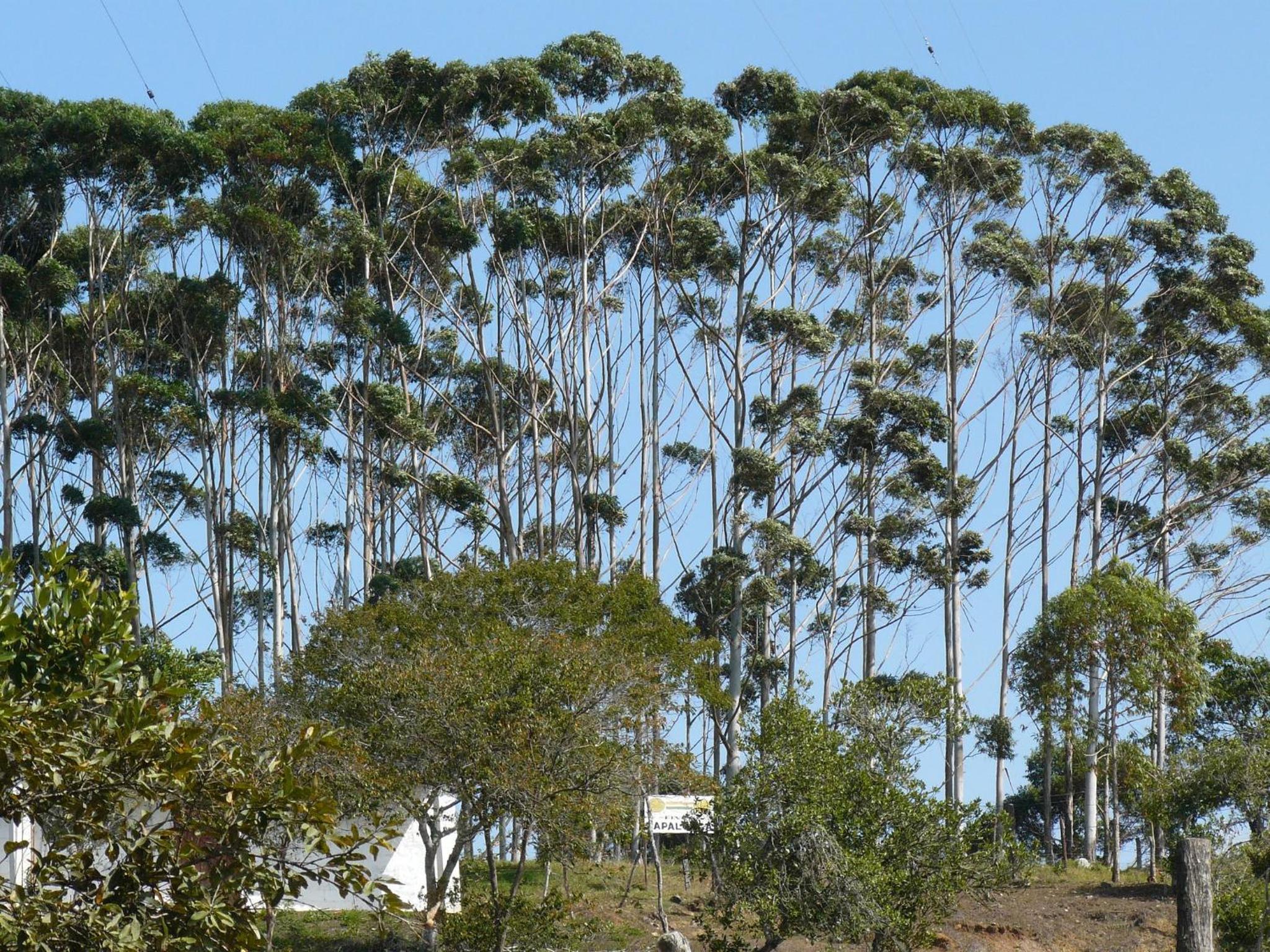 La Casa de Mamá Tere