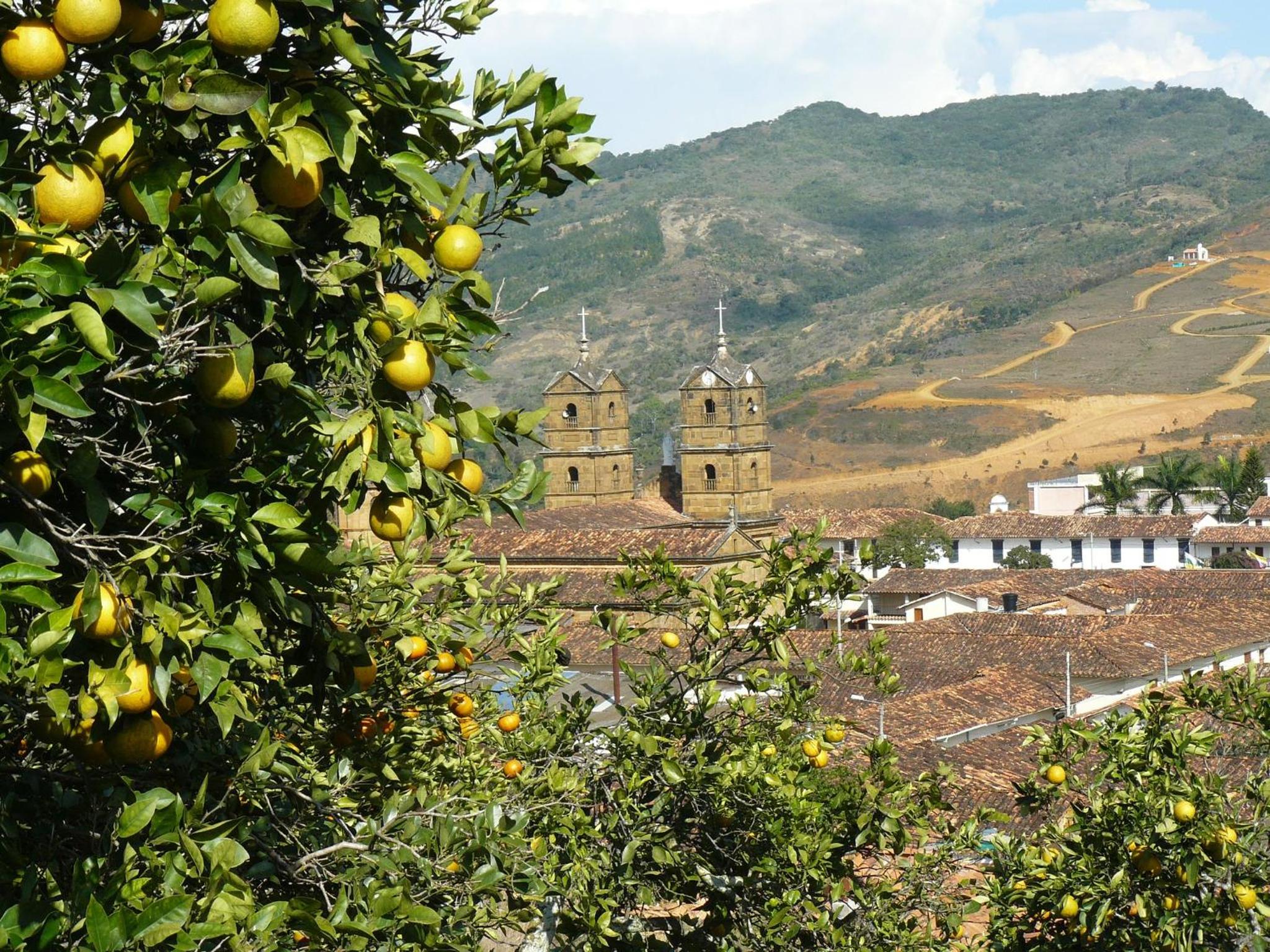 La Casa de Mamá Tere