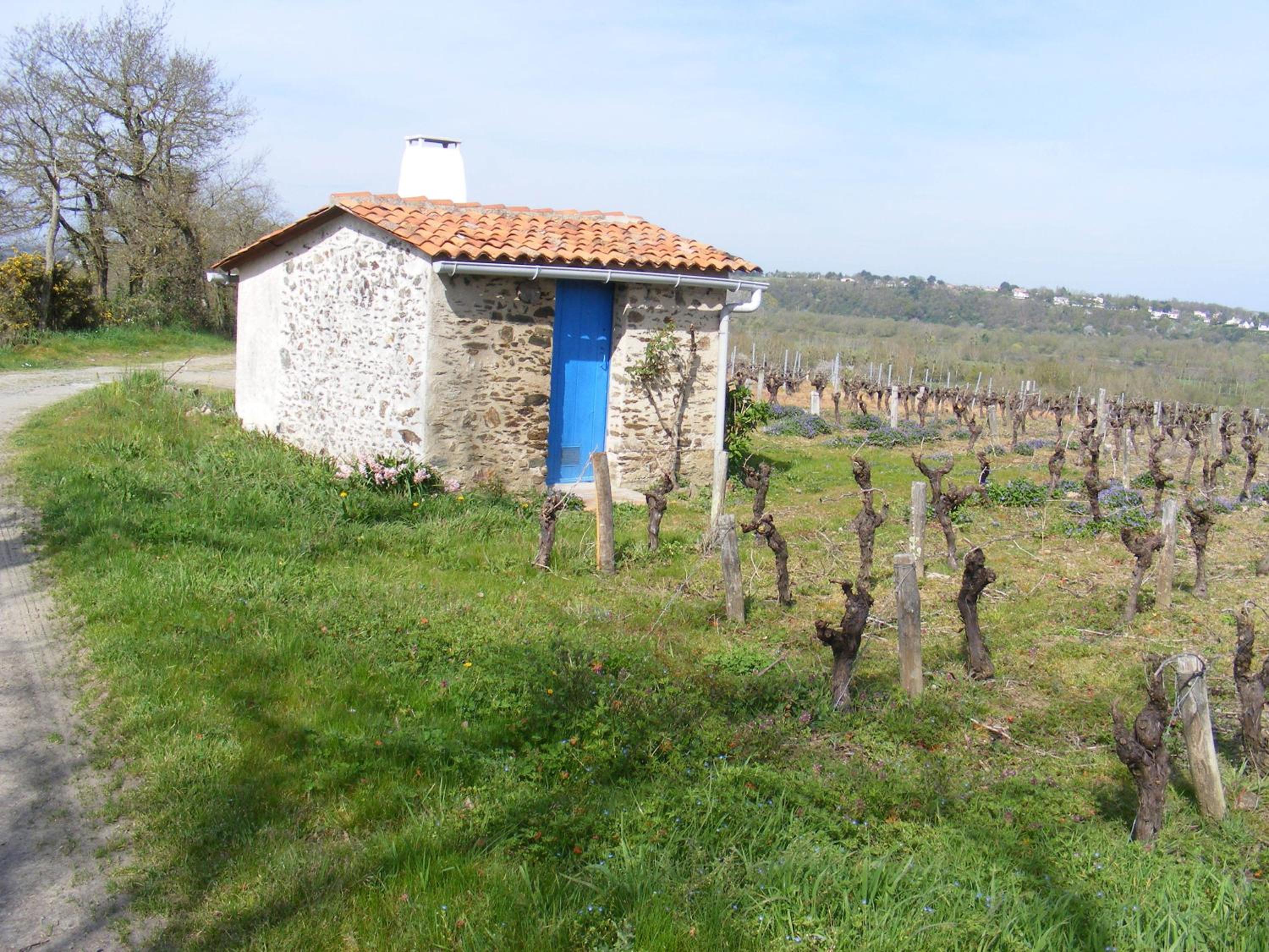 Chambres d'Hôtes Vignes et Loire