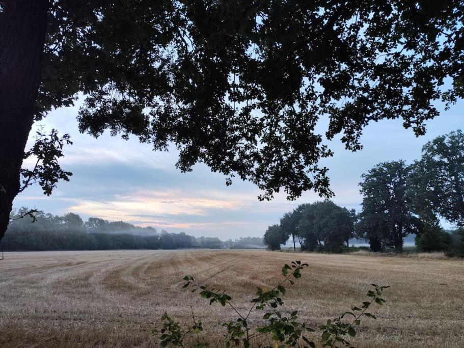 Nikis FeWo an den Dörenther Klippen