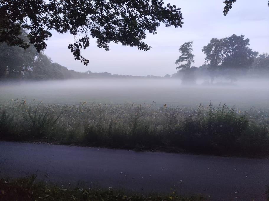 Nikis FeWo an den Dörenther Klippen