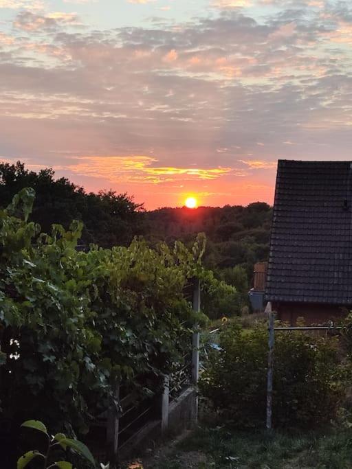 Nikis FeWo an den Dörenther Klippen