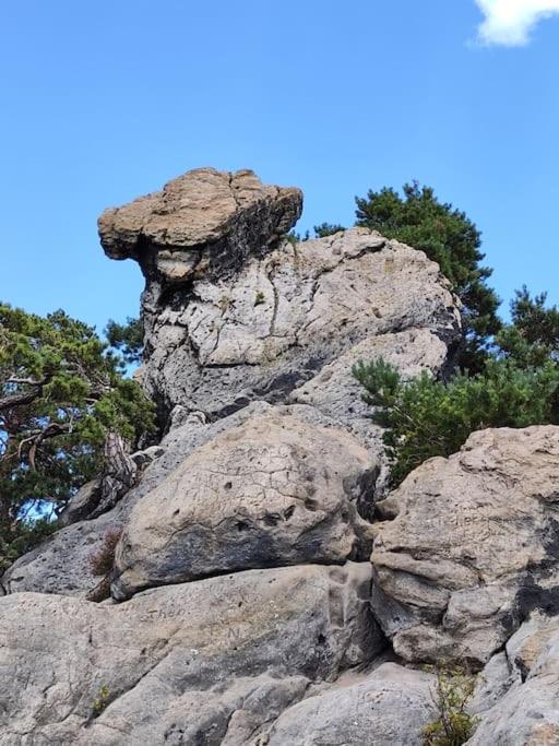 Nikis FeWo an den Dörenther Klippen