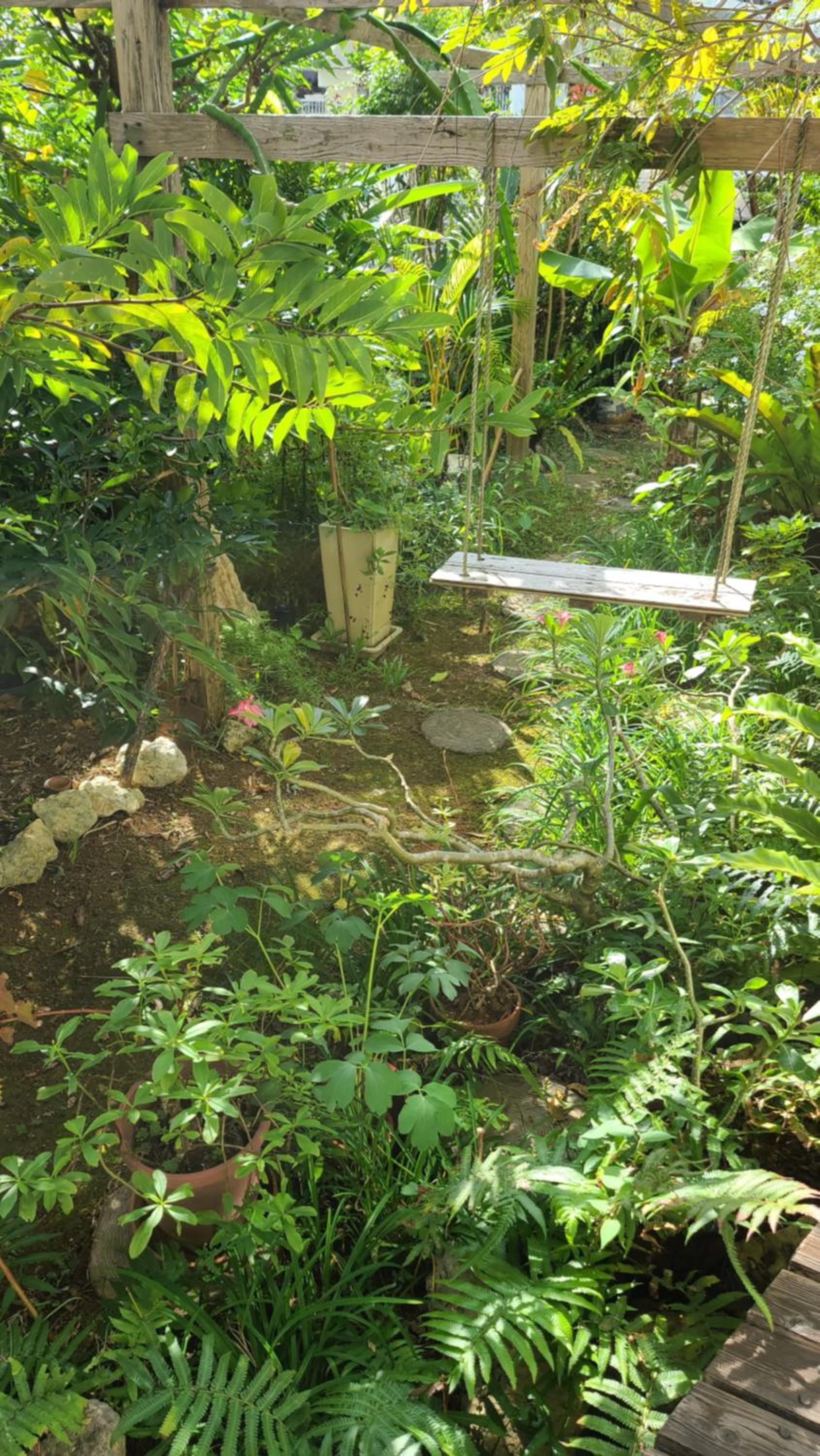 Photo 16