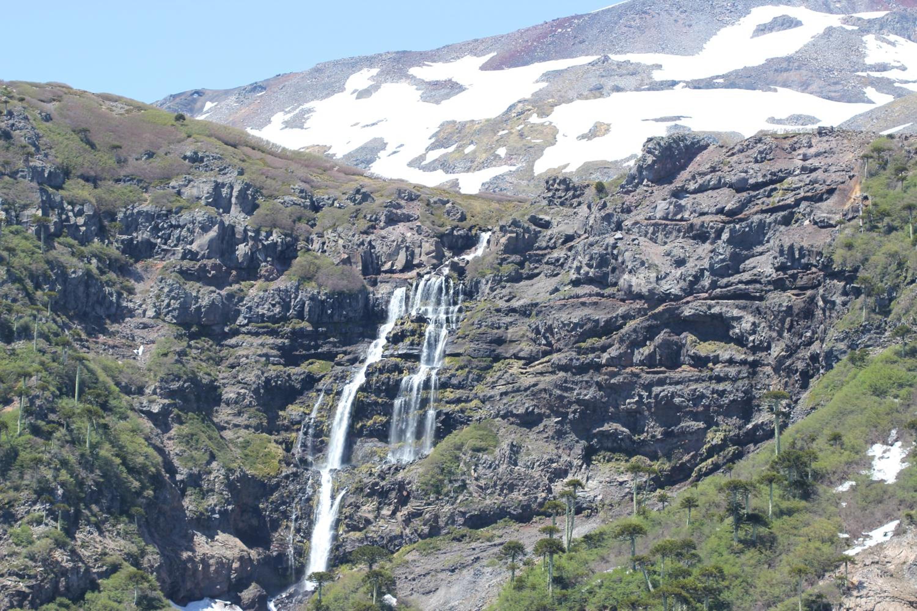Chile Wild - Las Vertientes
