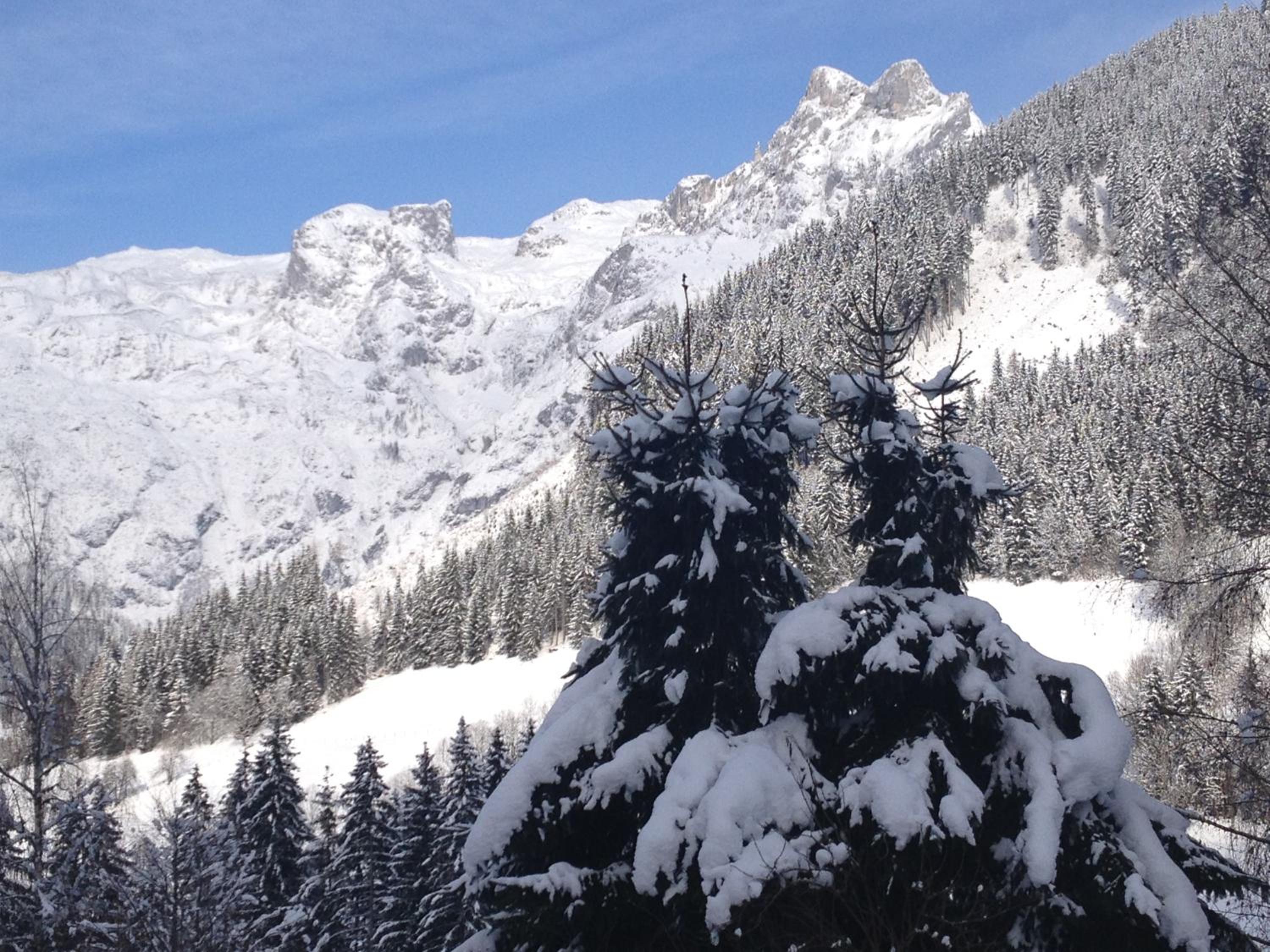 Photo 32