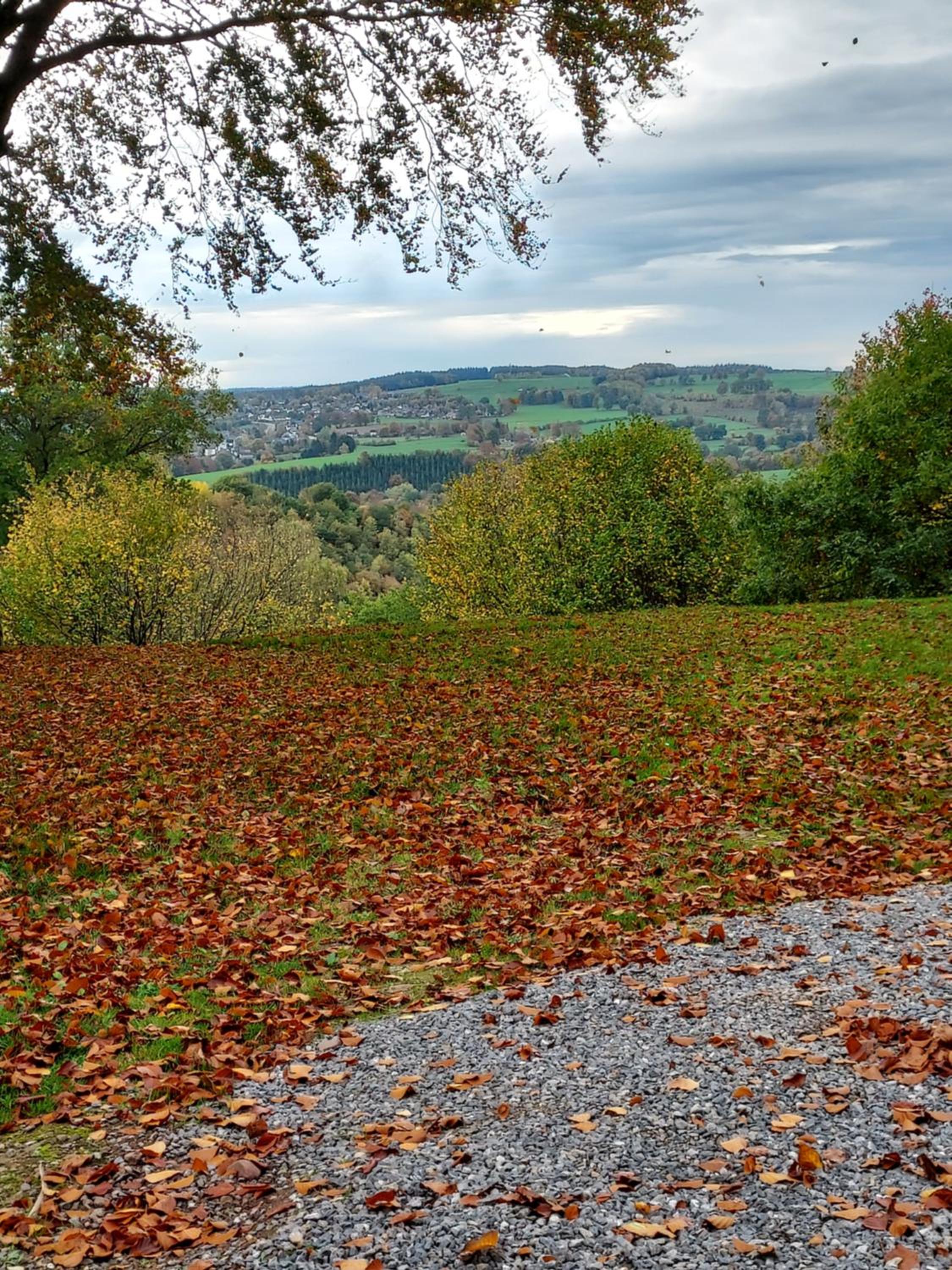 Le Cottage du Raidillon
