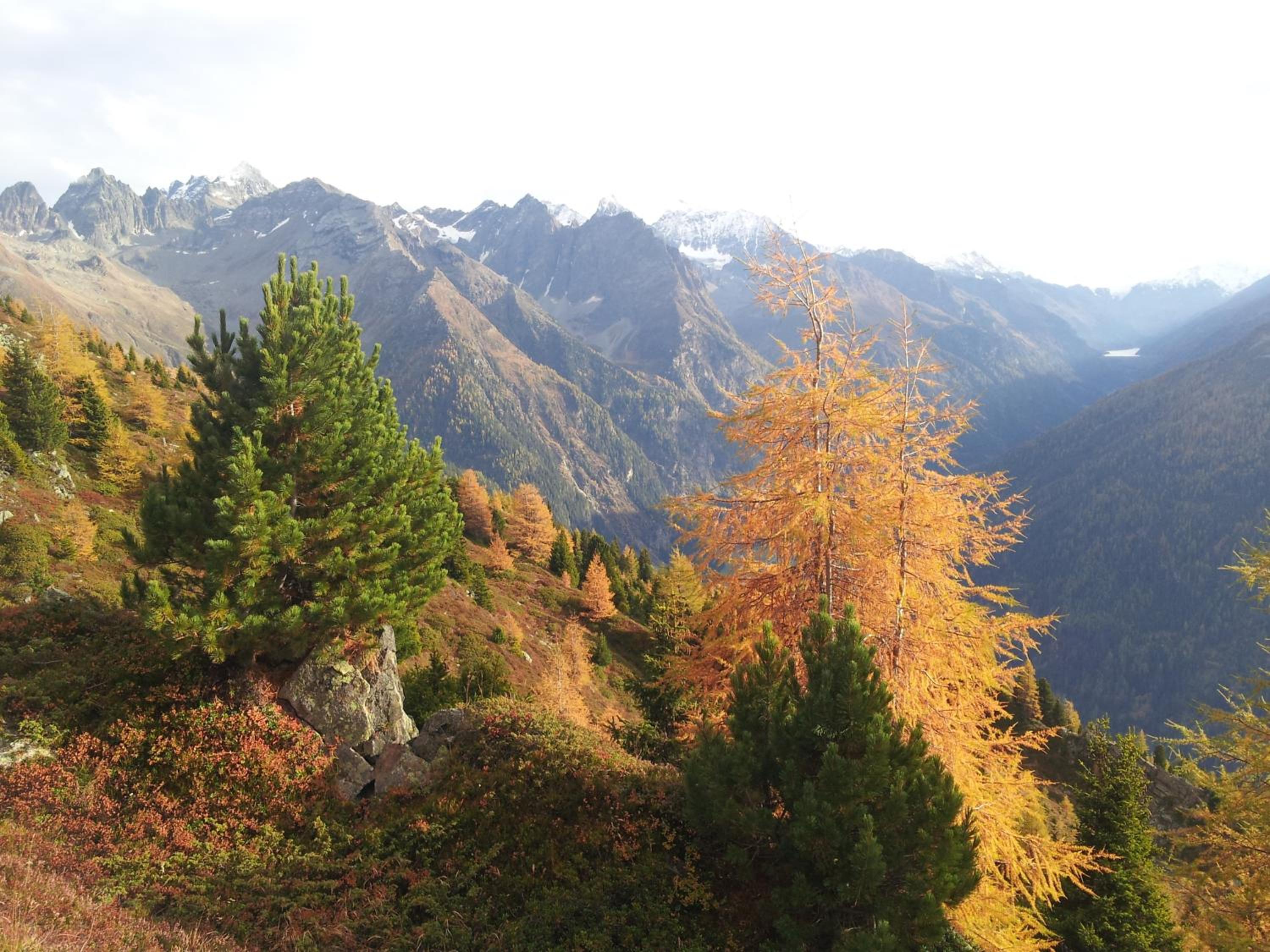 Apart Panoramablick