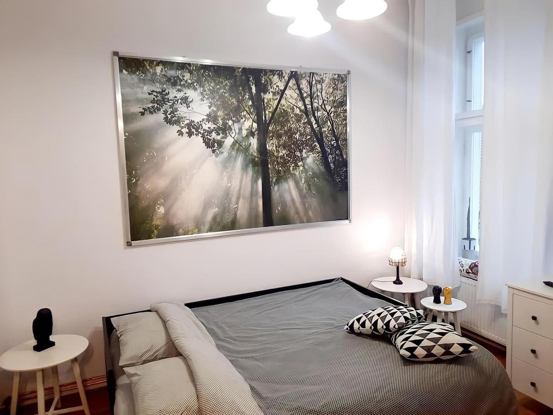 Timisoara Central Historical Center Apartment Liberty Union Square view 5