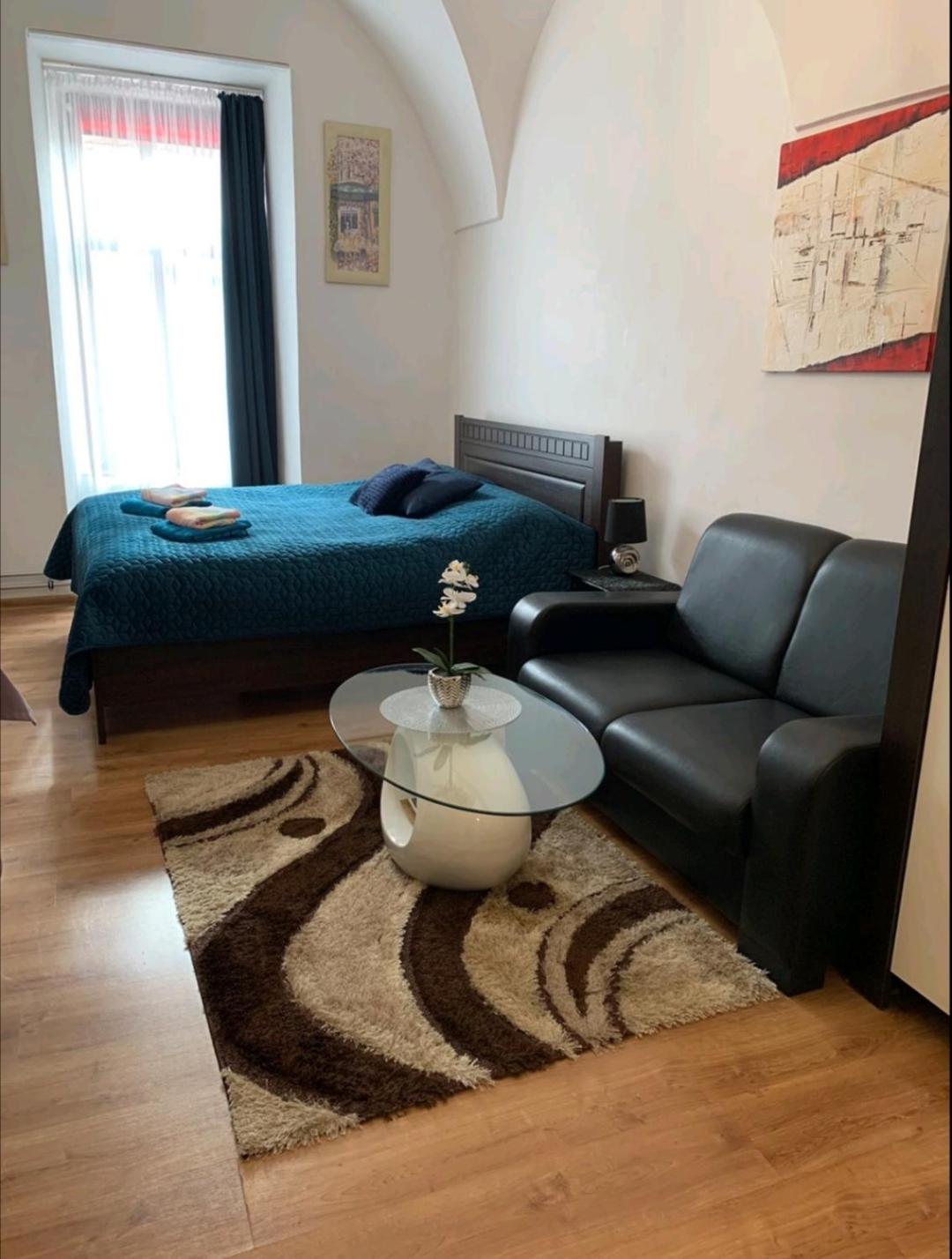 Alžbetina 15 - DREAM apartmán view 4
