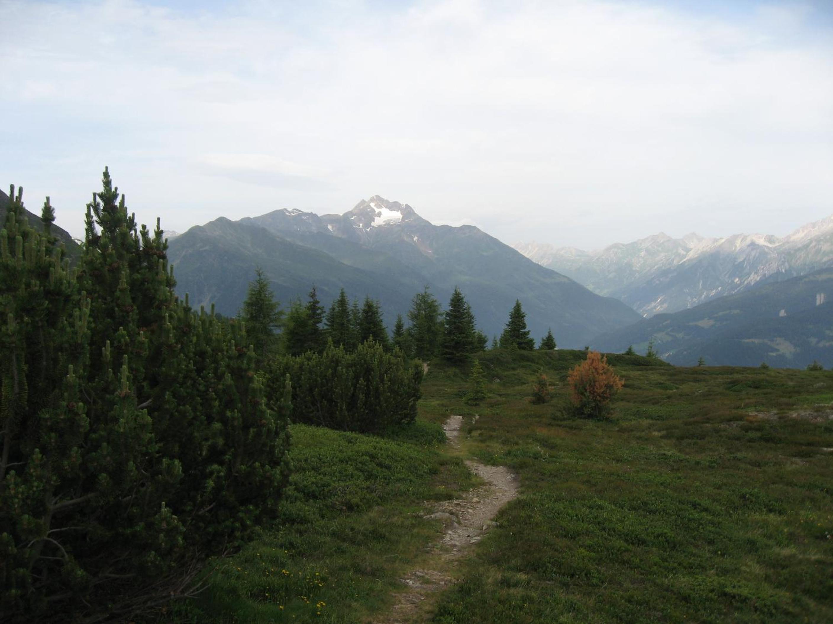 Apart Panoramablick