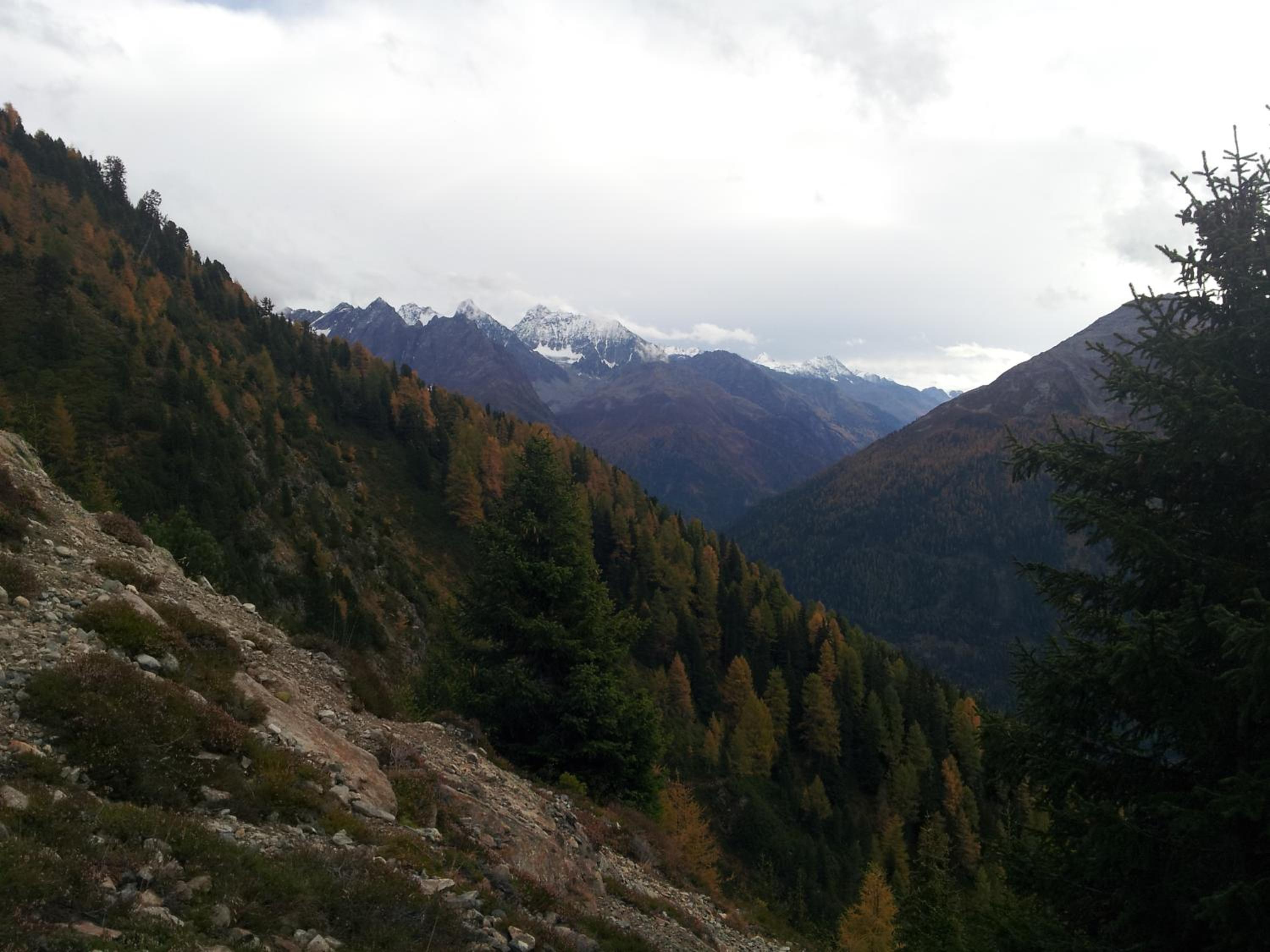 Apart Panoramablick