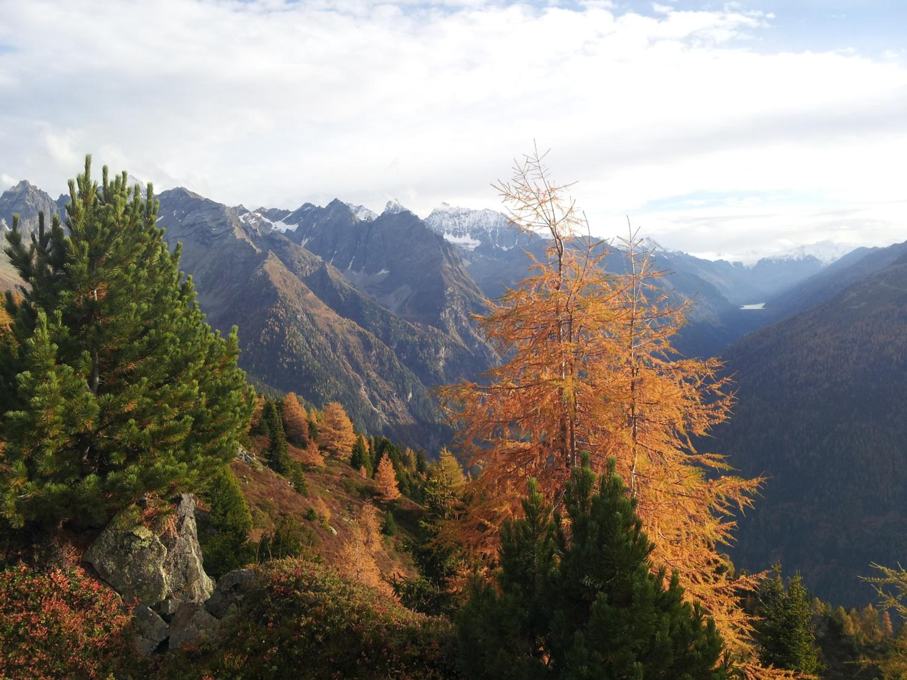 Apart Panoramablick